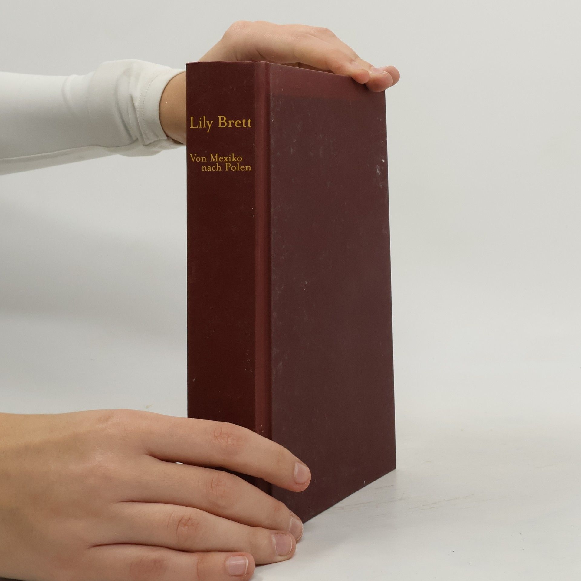 Lily Brett Von Mexiko nach Polen