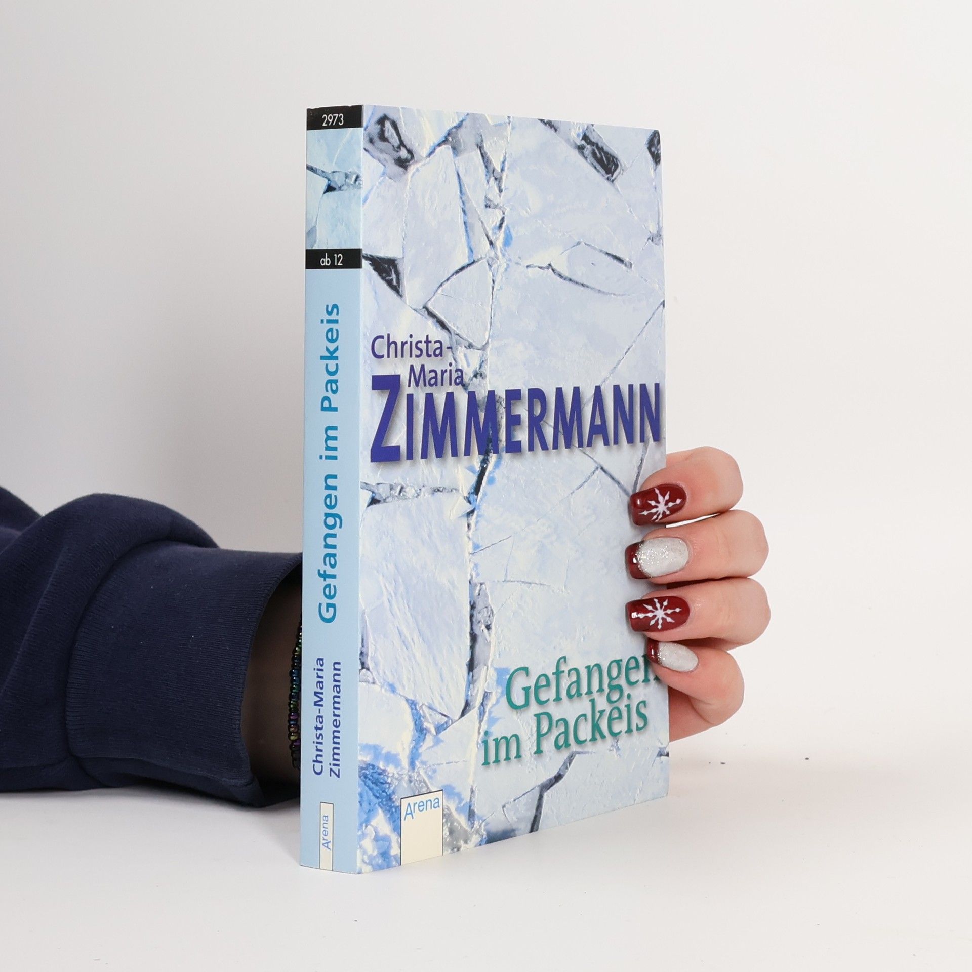 Christa Maria Zimmermann Gefangen im Packeis