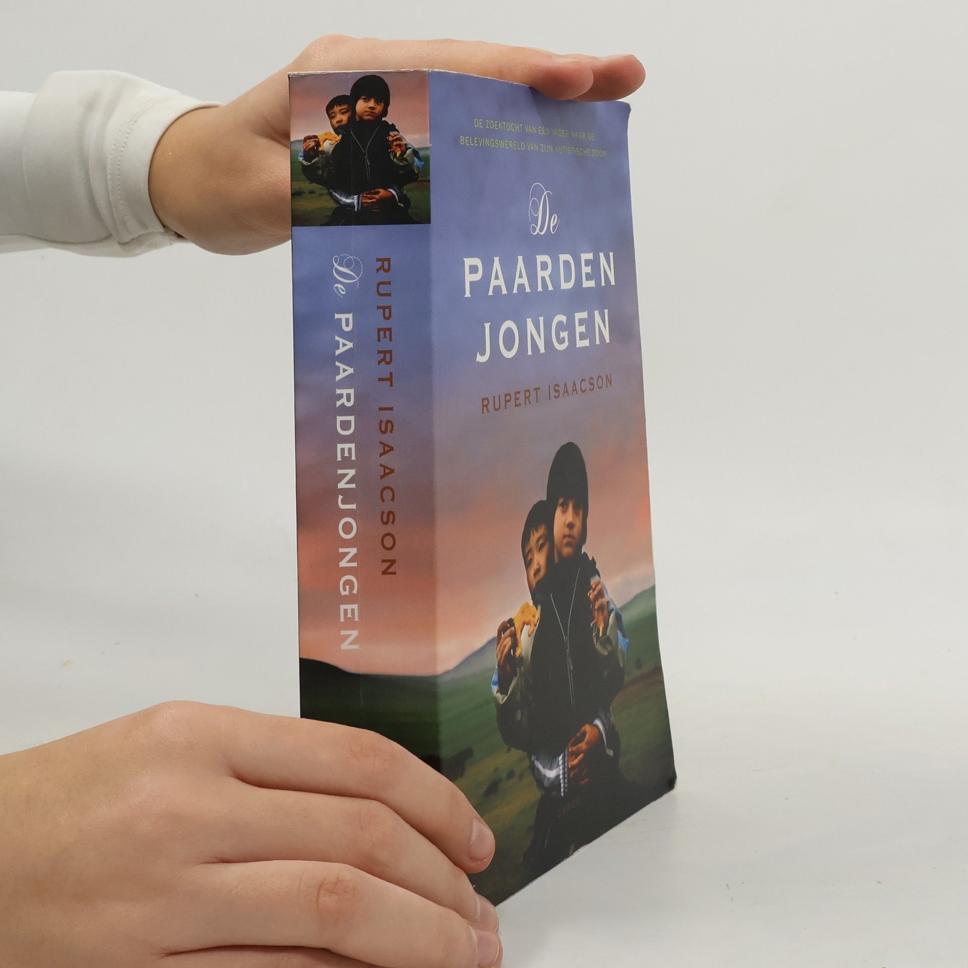 Daniëlle Stensen-Alders De paardenjongen