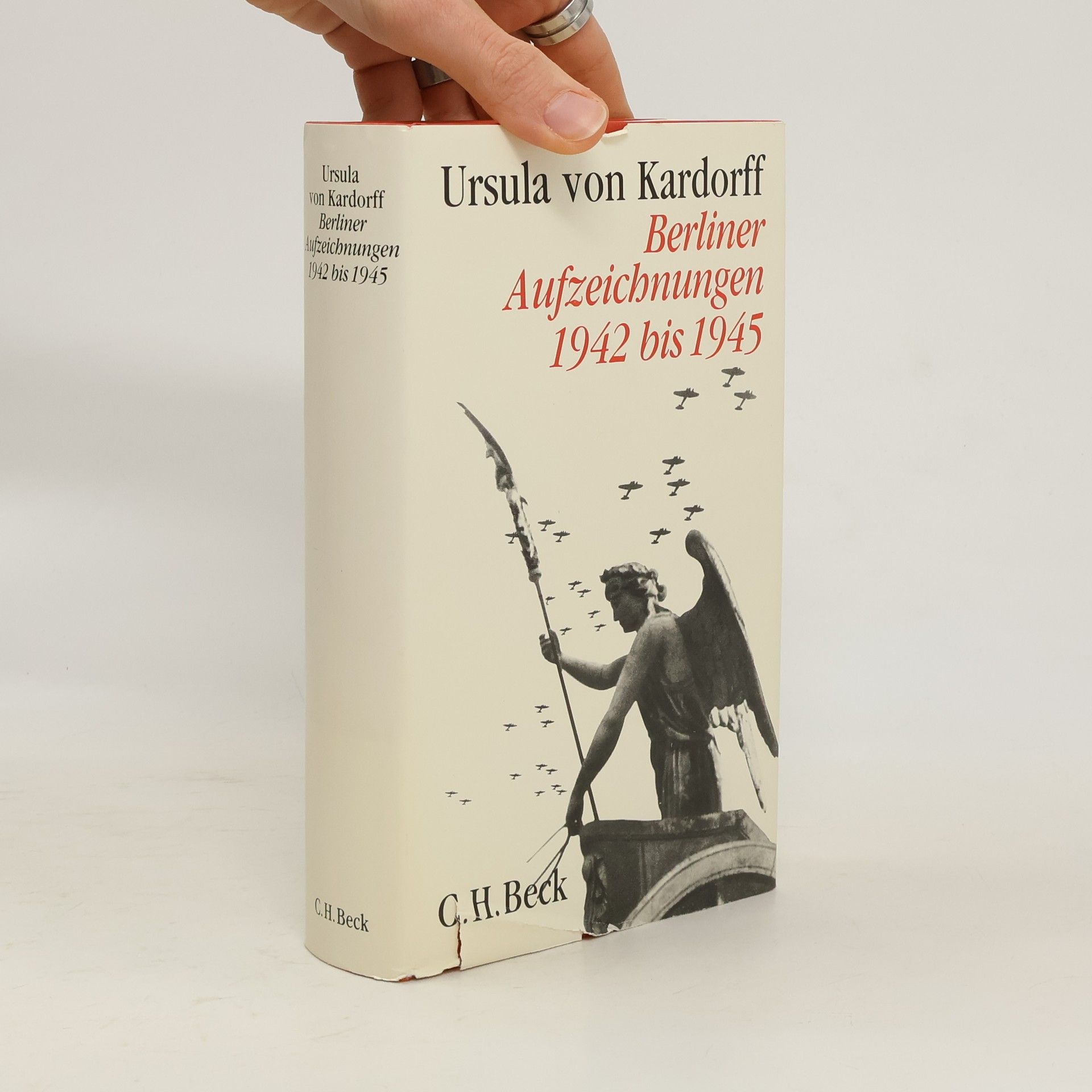 Berliner Aufzeichnungen