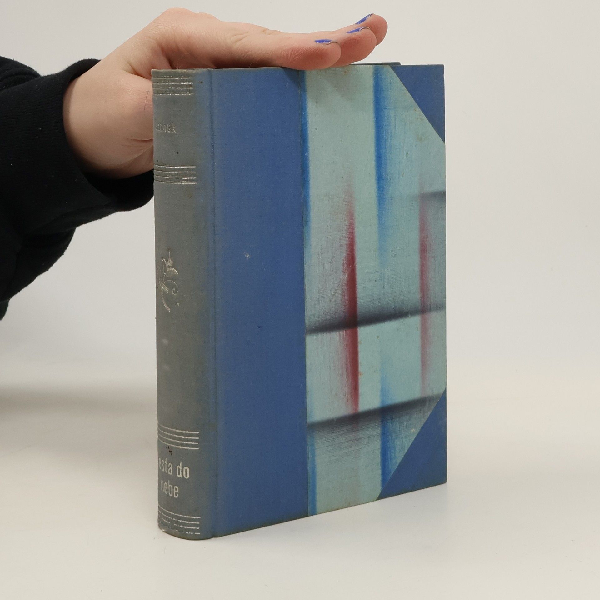 Emil Vachek Cestou do nebe