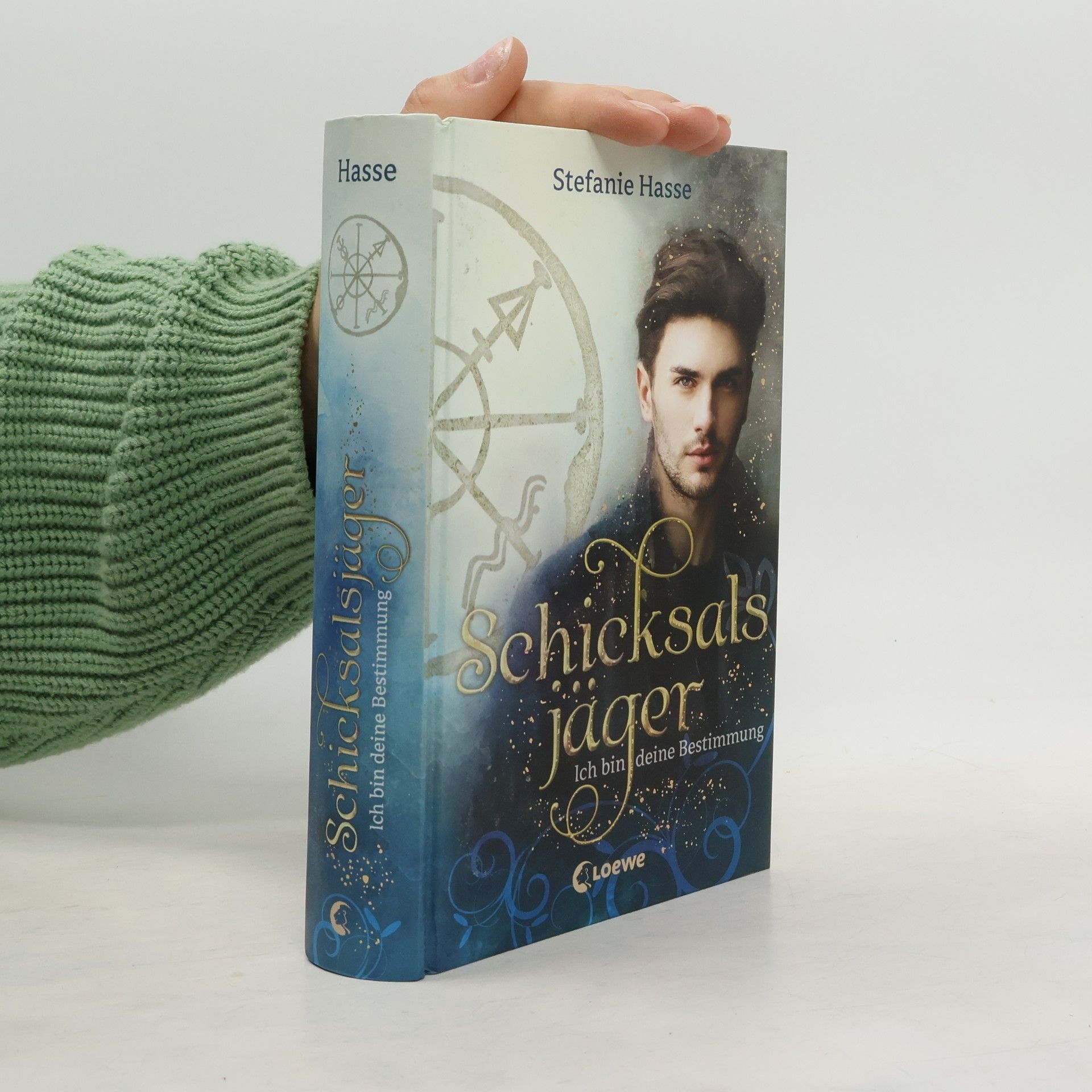 Stefanie Hasse Schicksalsjäger - ich bin deine Bestimmung