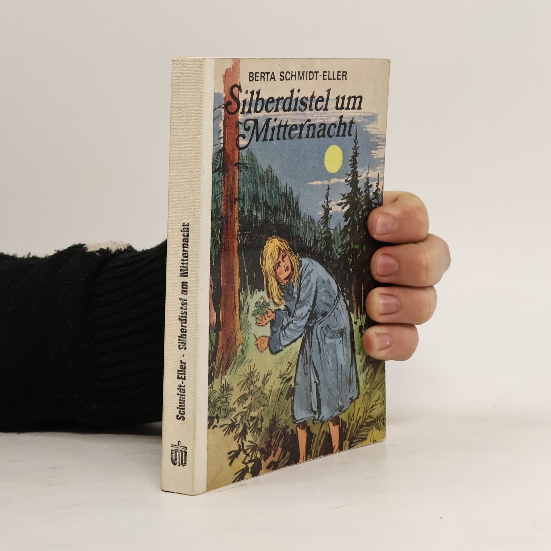 Silberdistel um Mitternacht