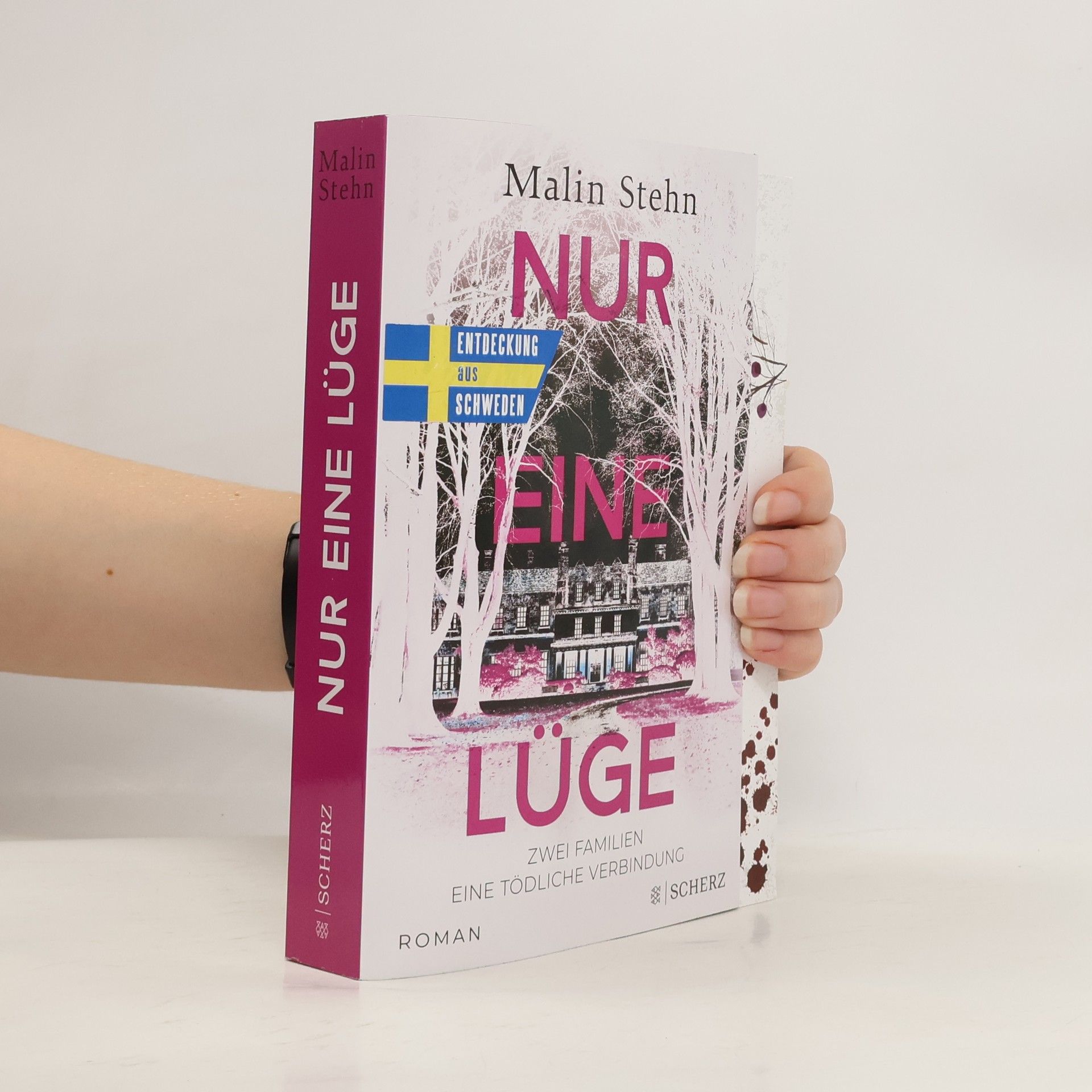 Nur eine Lüge – Zwei Familien, eine tödliche Verbindung