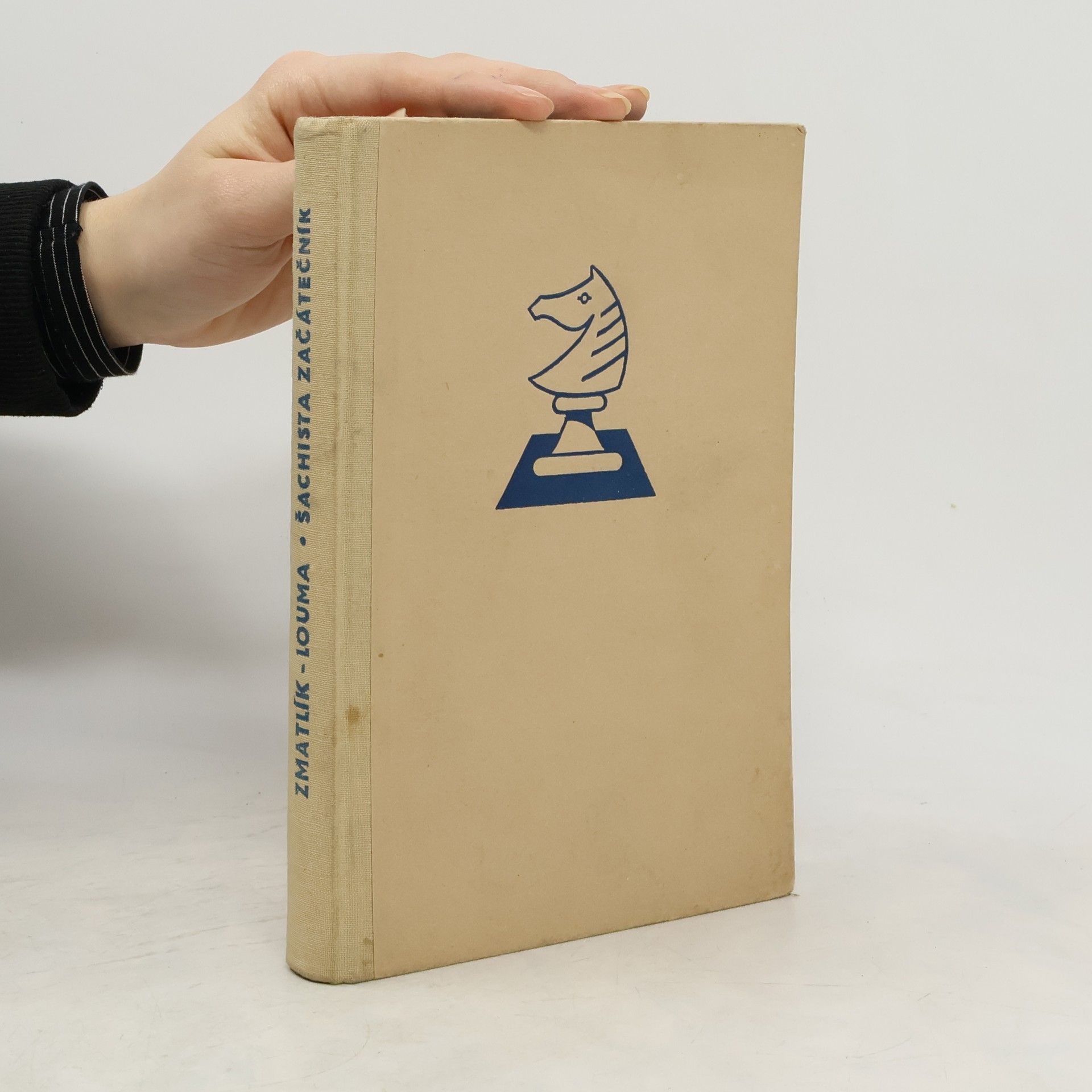 Šachista začátečník