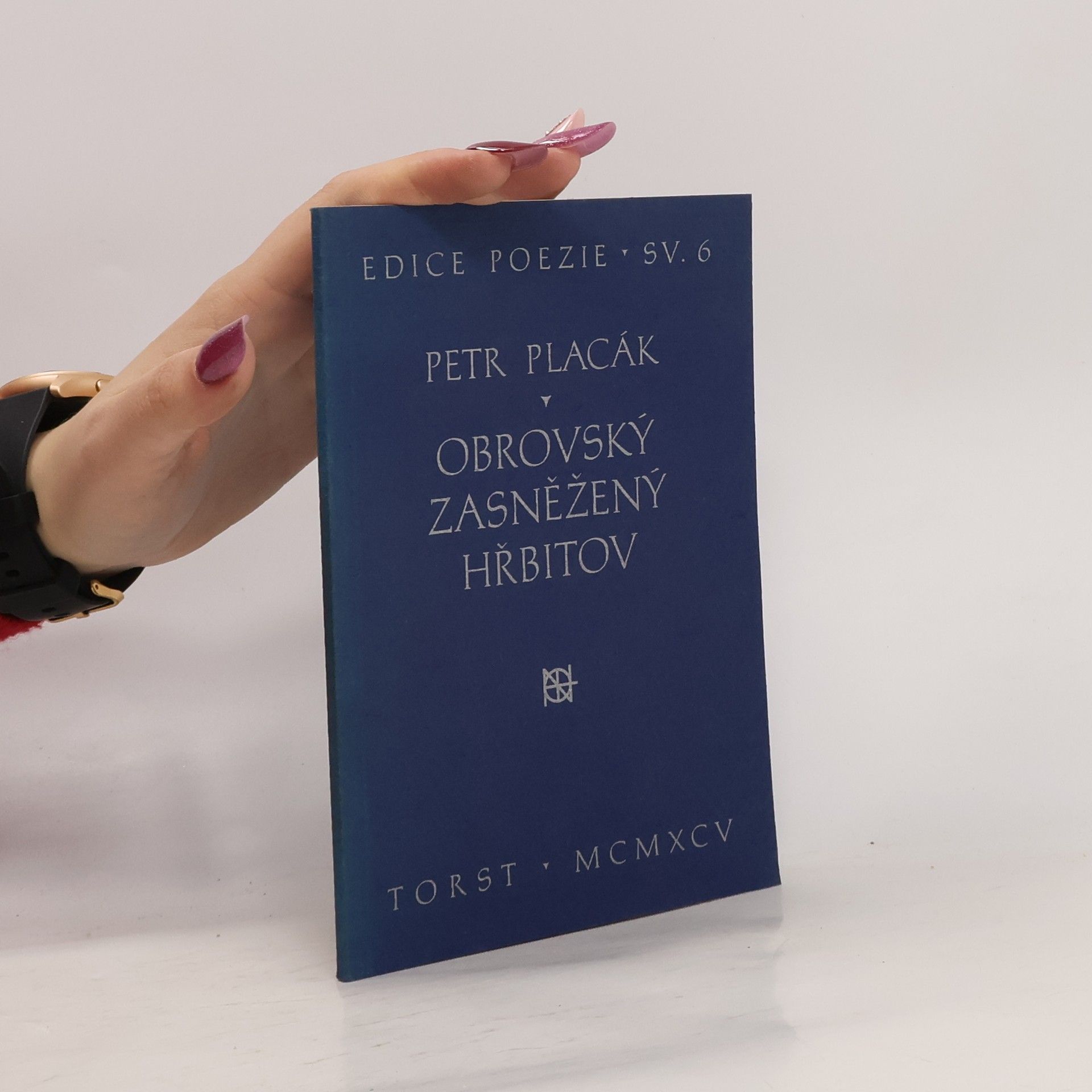 Obrovský zasněžený hřbitov