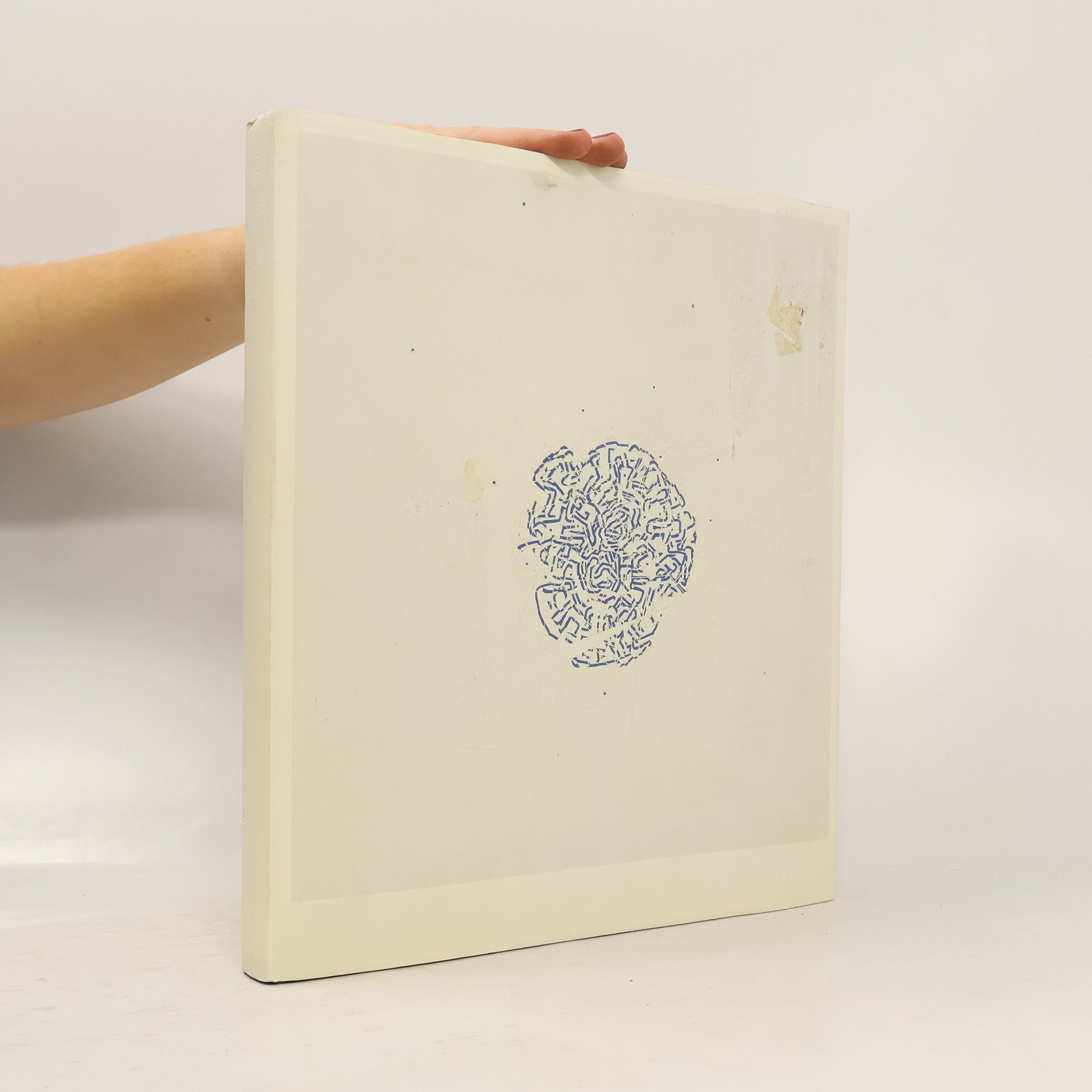 Elisabeth Lebovici Roni Horn