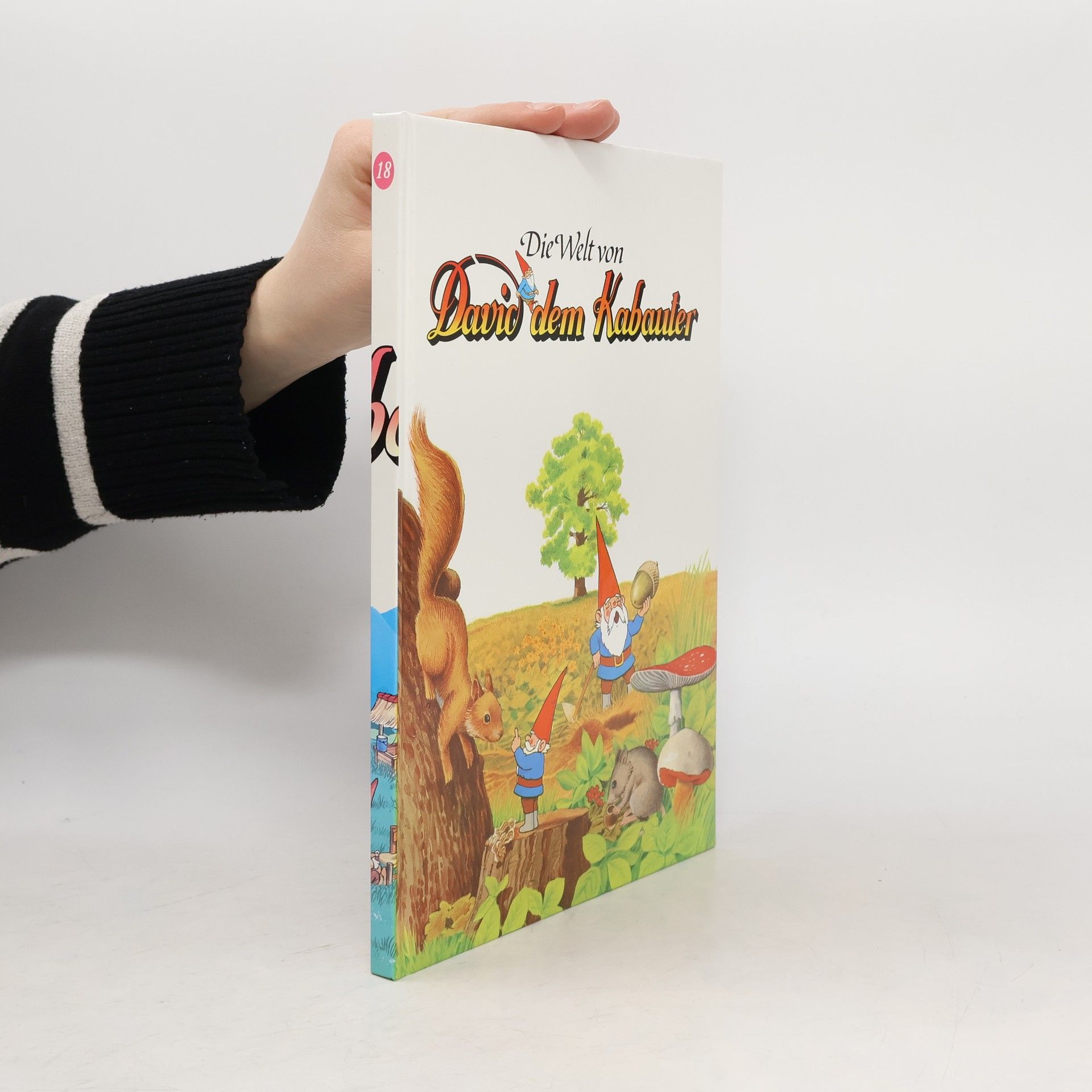 Auteurscollectief Die Welt von David dem Kabauter 18