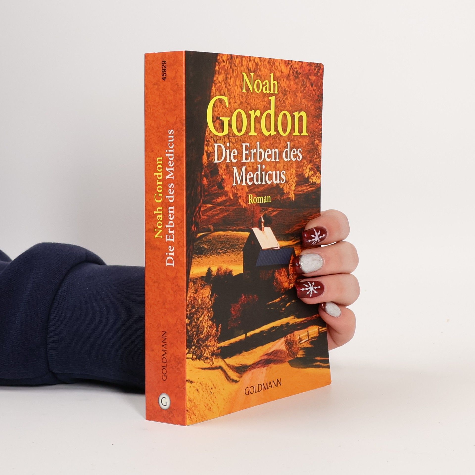 Noah Gordon Die Erben des Medicus