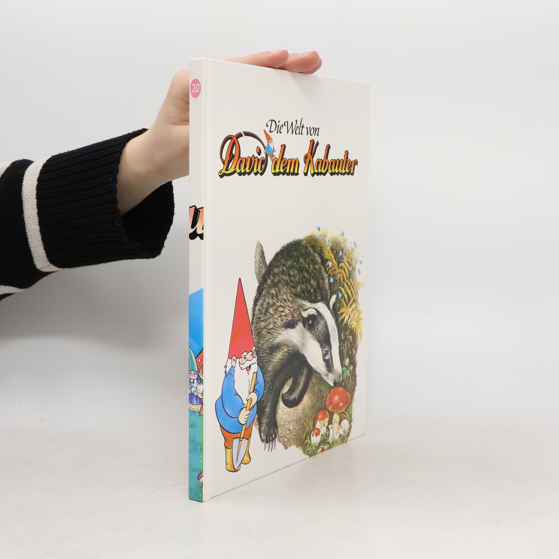 AA.VV. Die Welt von David dem Kabauter 20