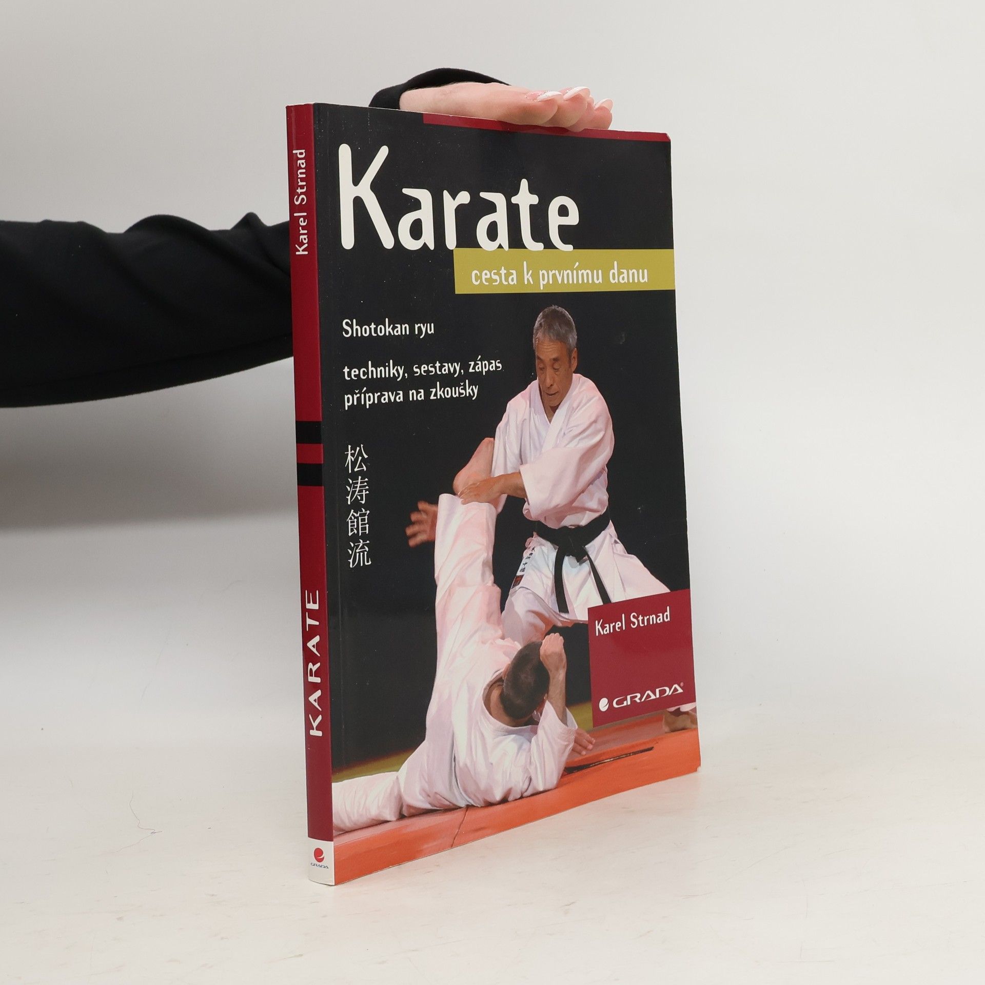 Karel Strnad Karate. Cesta k prvnímu danu