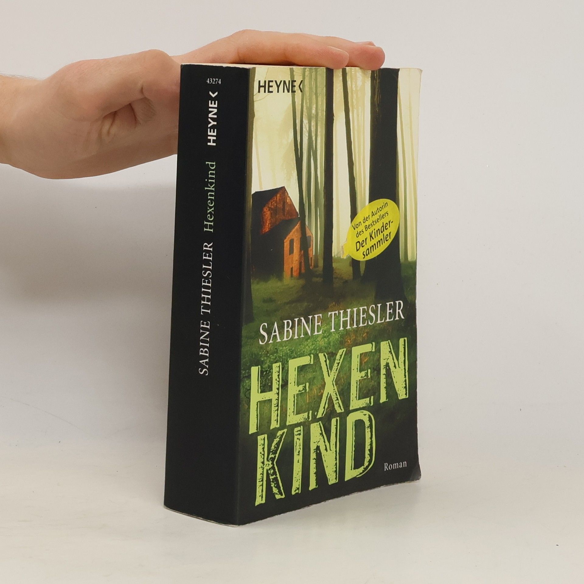 Sabine Thiesler Hexenkind - Roman