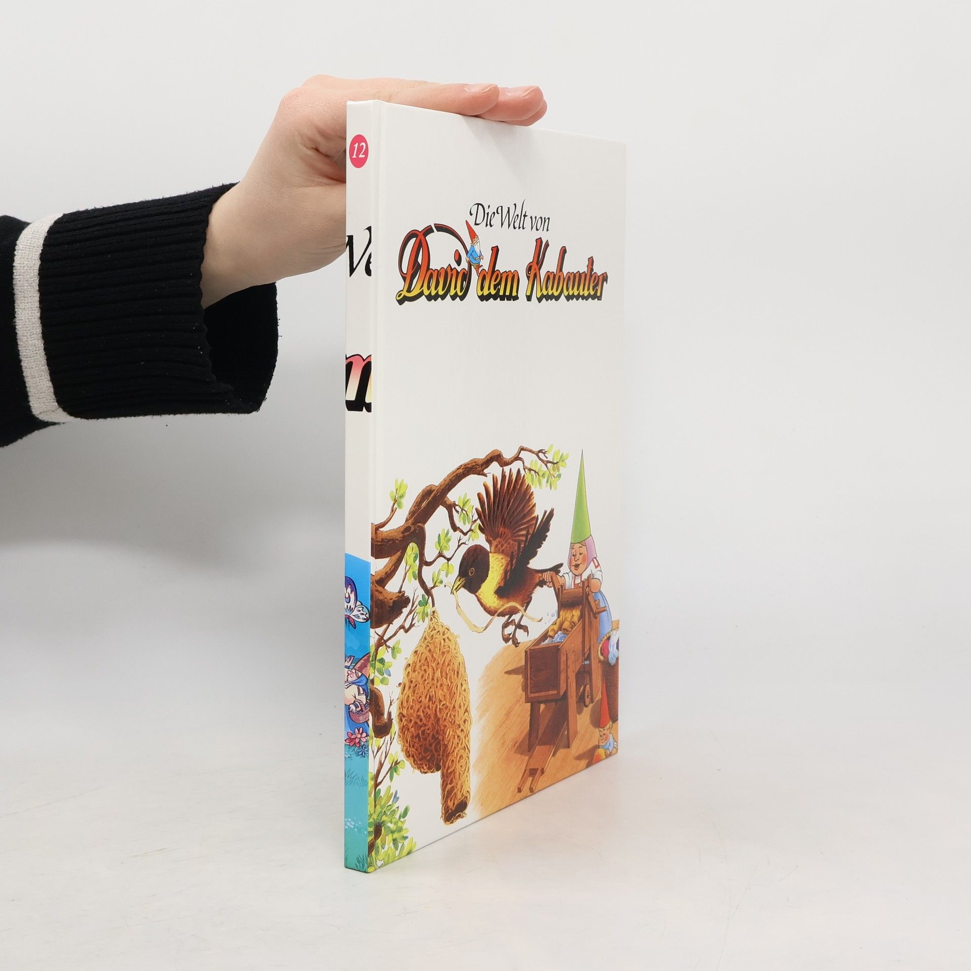 AA.VV. Die Welt von David dem Kabauter 12