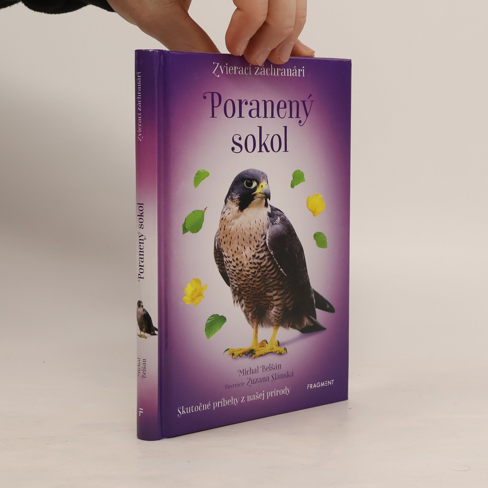 Zvierací záchranári - Poranený sokol