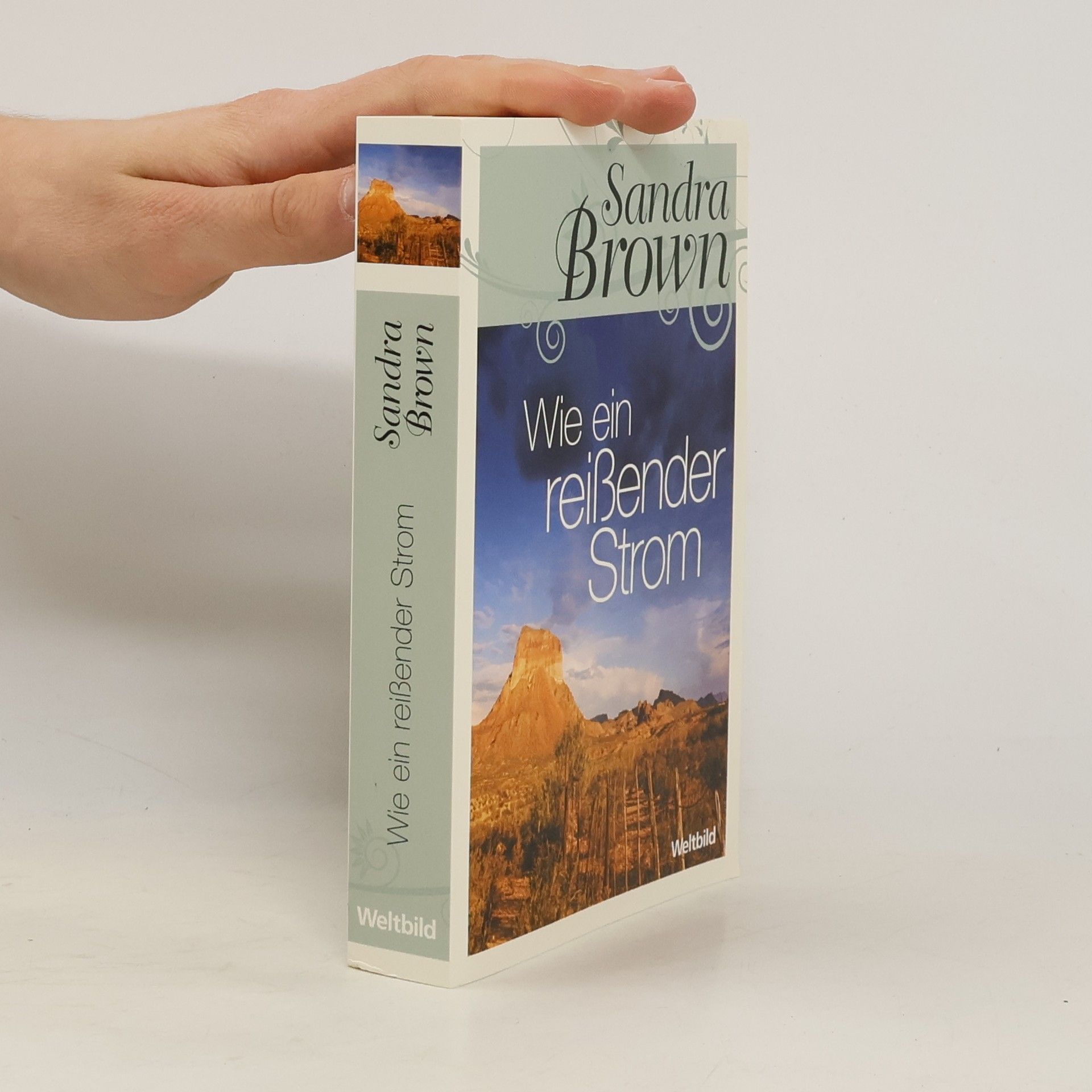 Sandra Brown Wie ein reißender strom