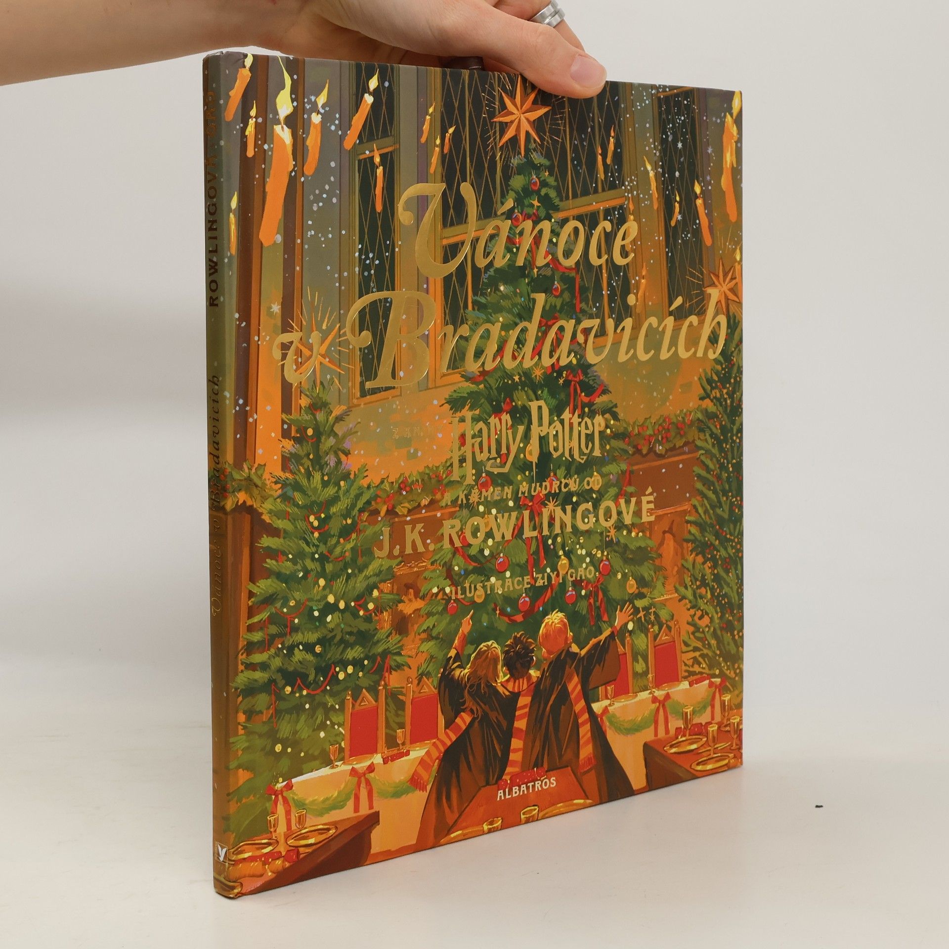 J. K. Rowling Vánoce v Bradavicích