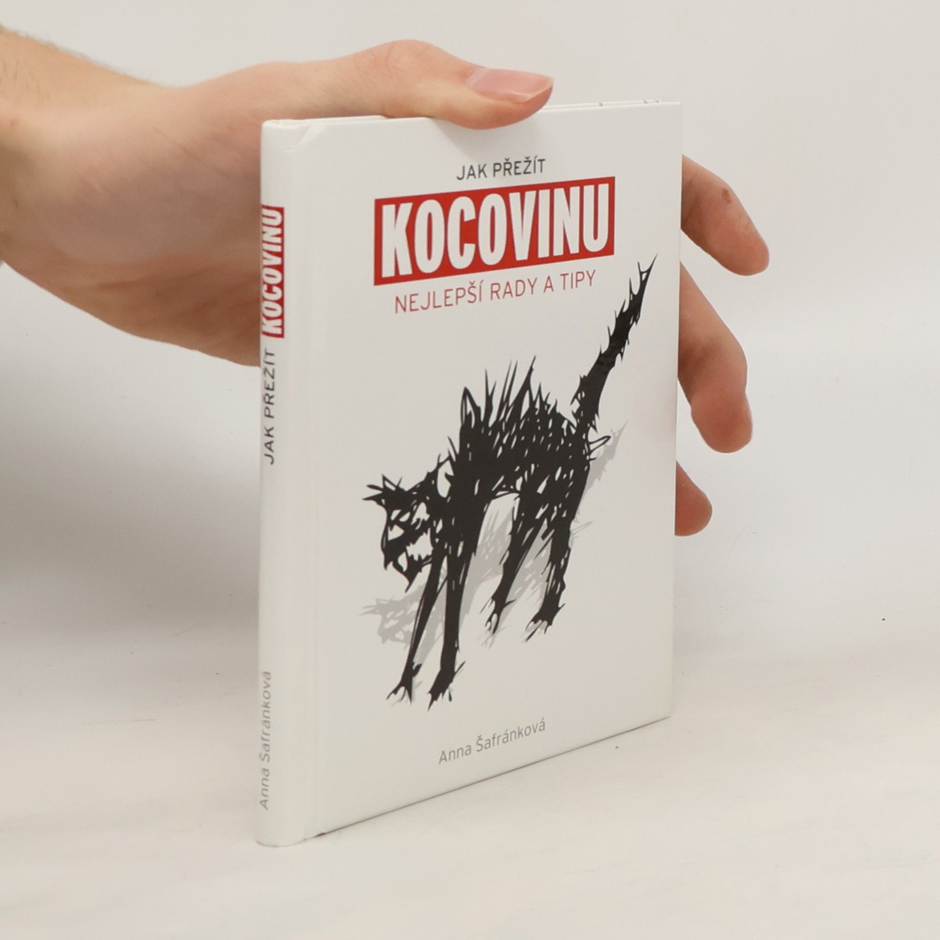 Jak přežít kocovinu: Nejlepší rady a tipy