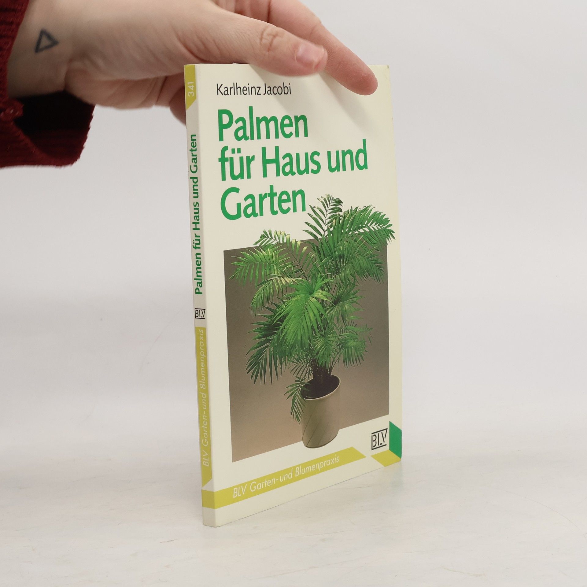 Palmen für Haus und Garten