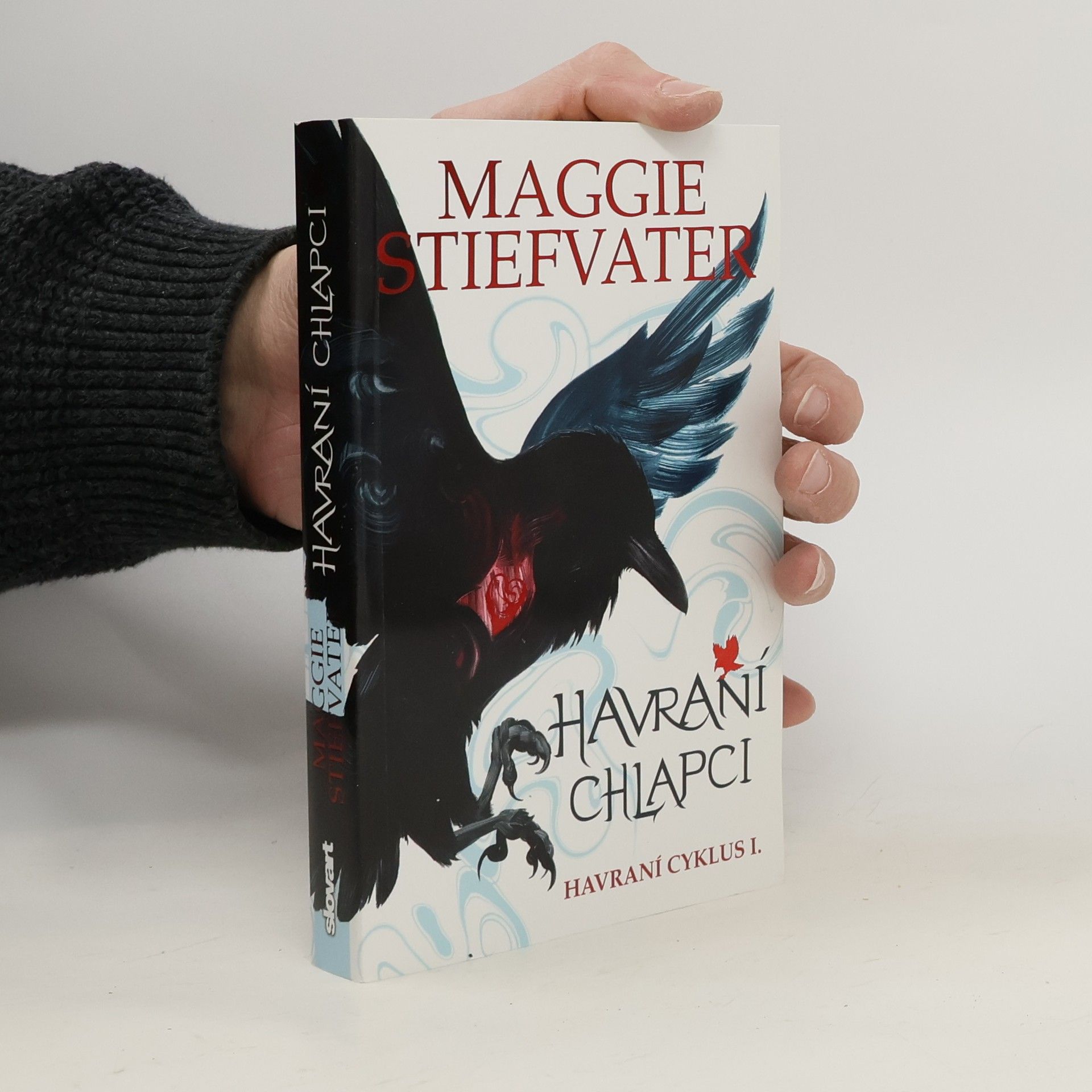 Maggie Stiefvaterová Havraní chlapci