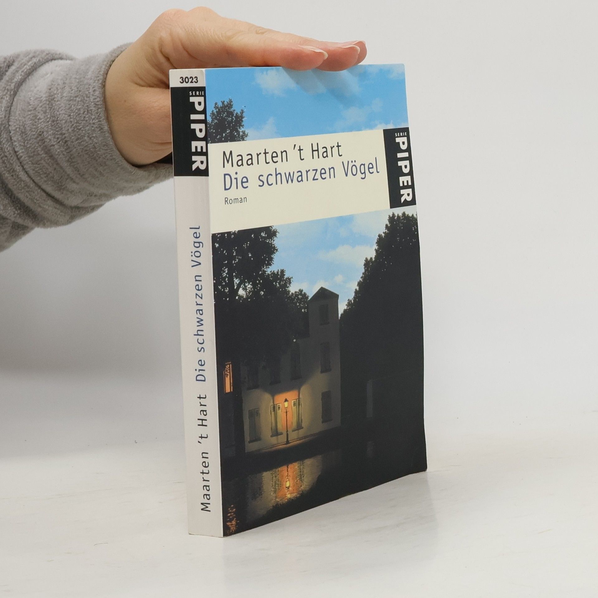 Maarten 't Hart Die schwarzen Vögel