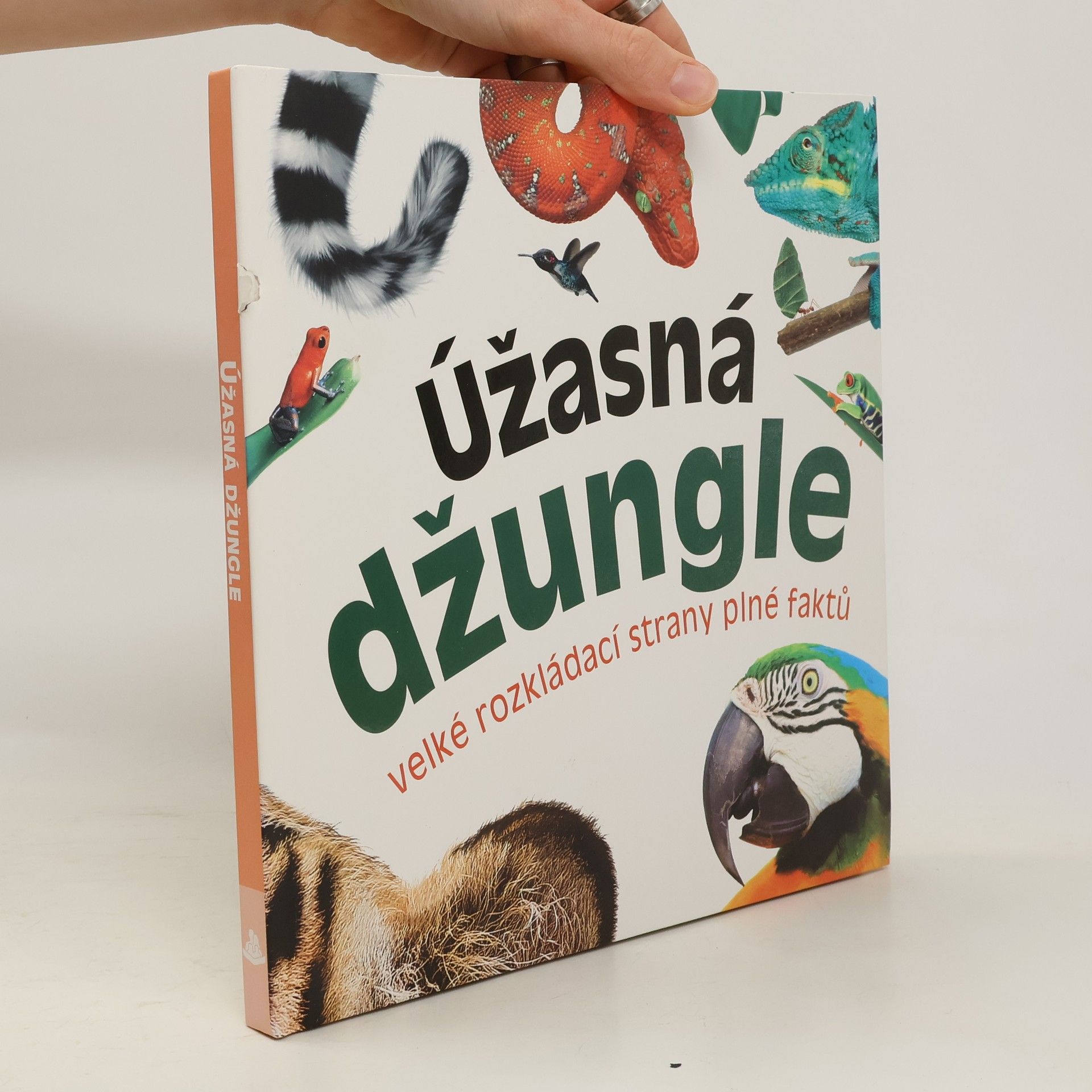 Marek Kurta Úžasná džungle : velké rozkládací strany plné faktů