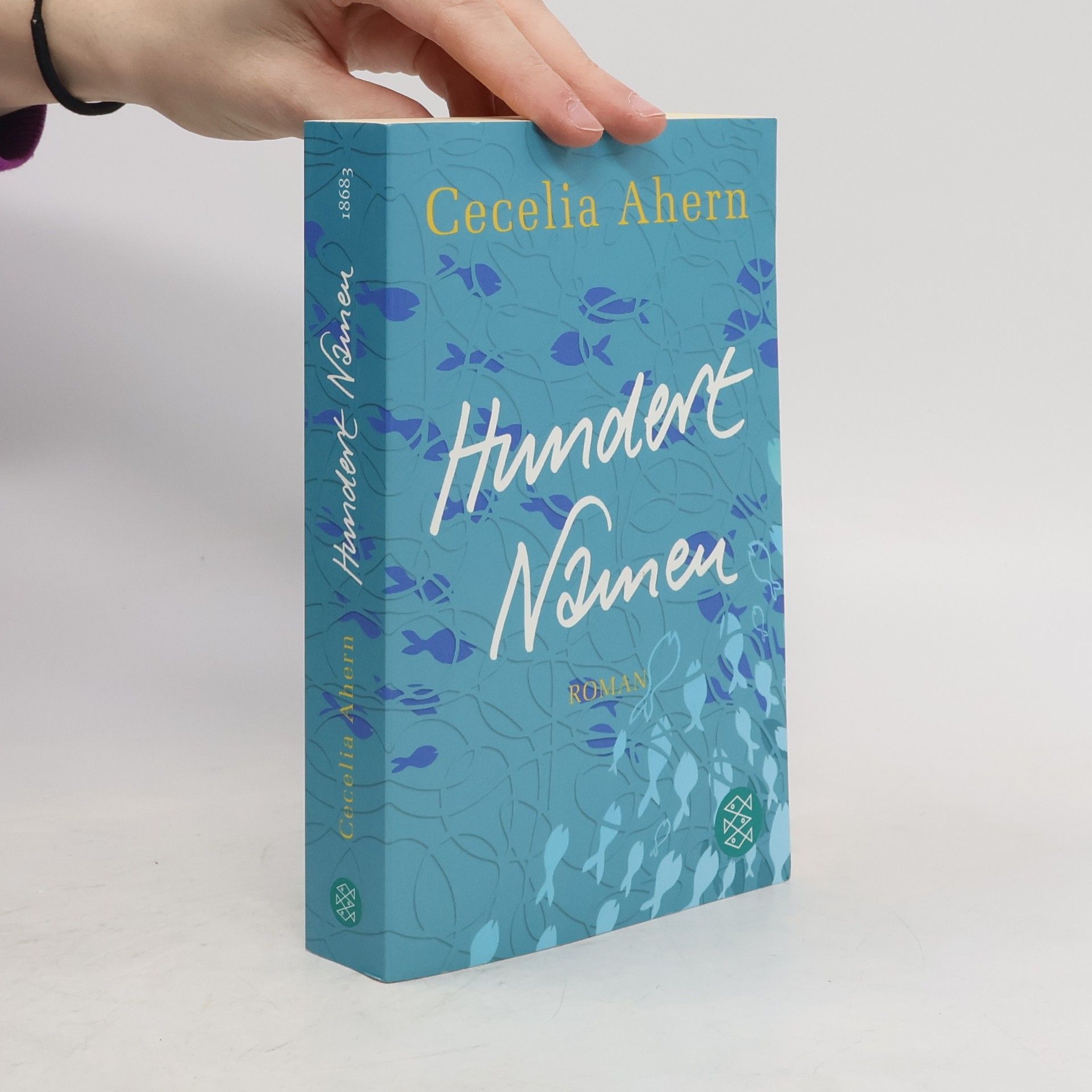 Cecelia Ahern Hundert Namen