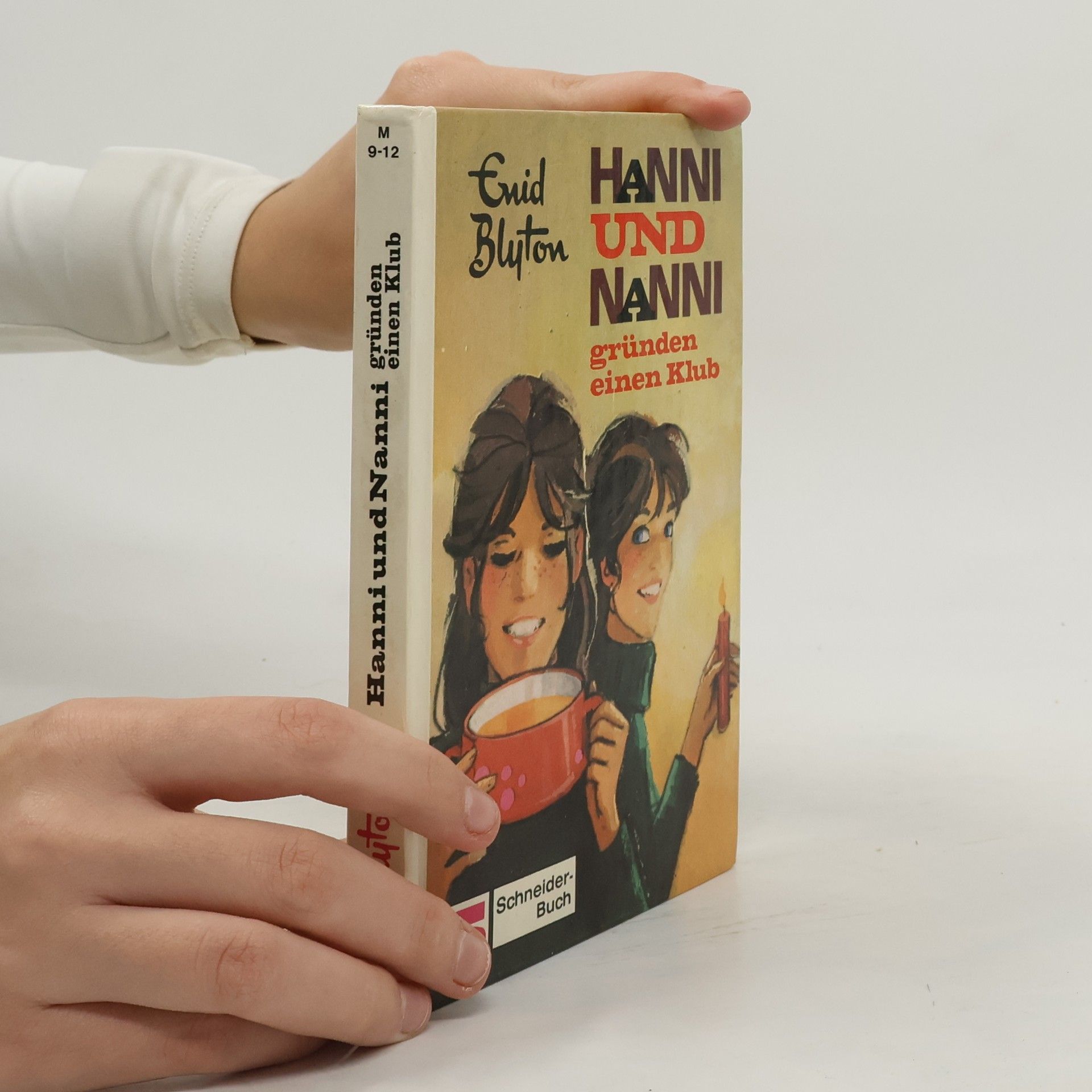 Enid Blyton Hanni und Nanni gründen einen Klub