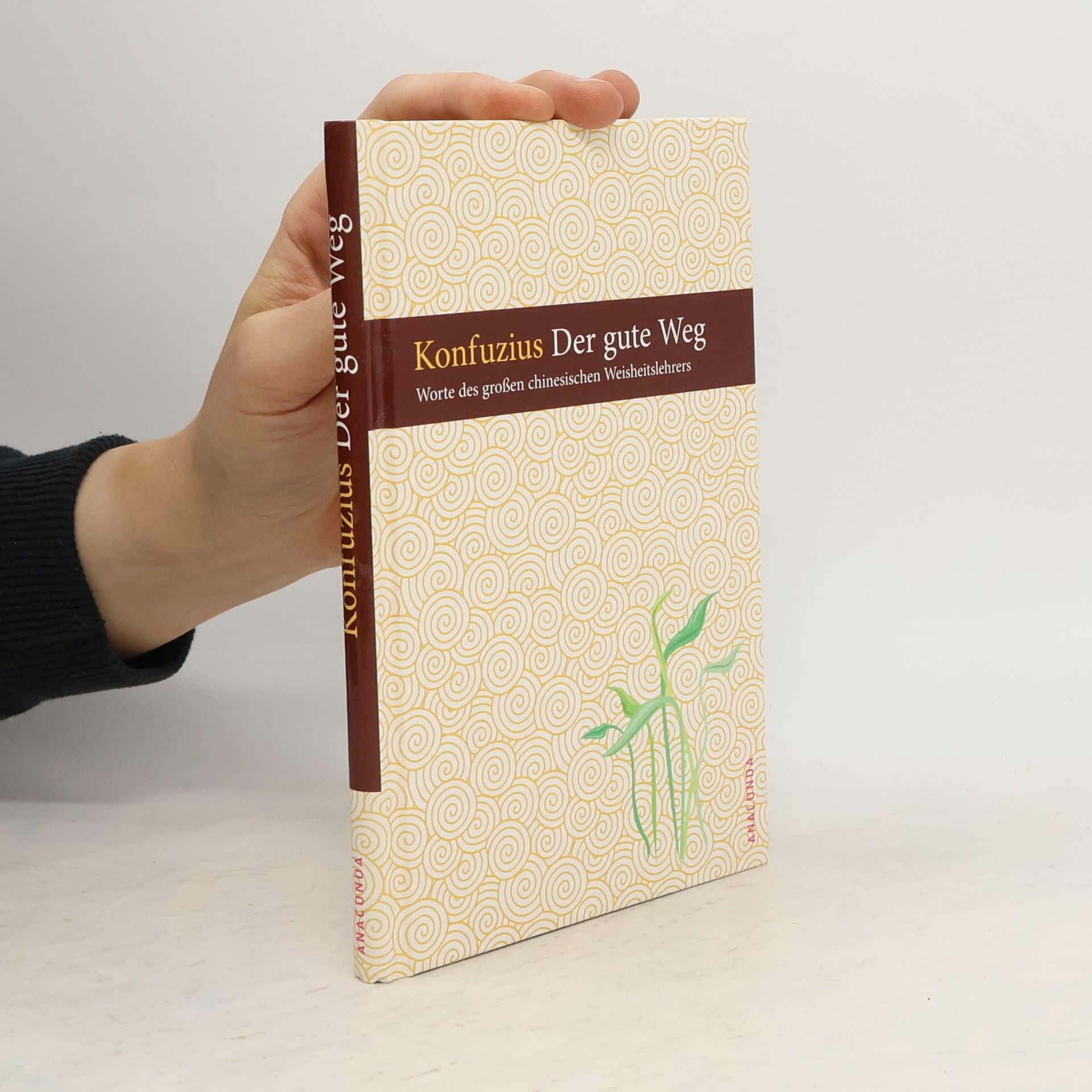 Qiu Kong Der gute Weg