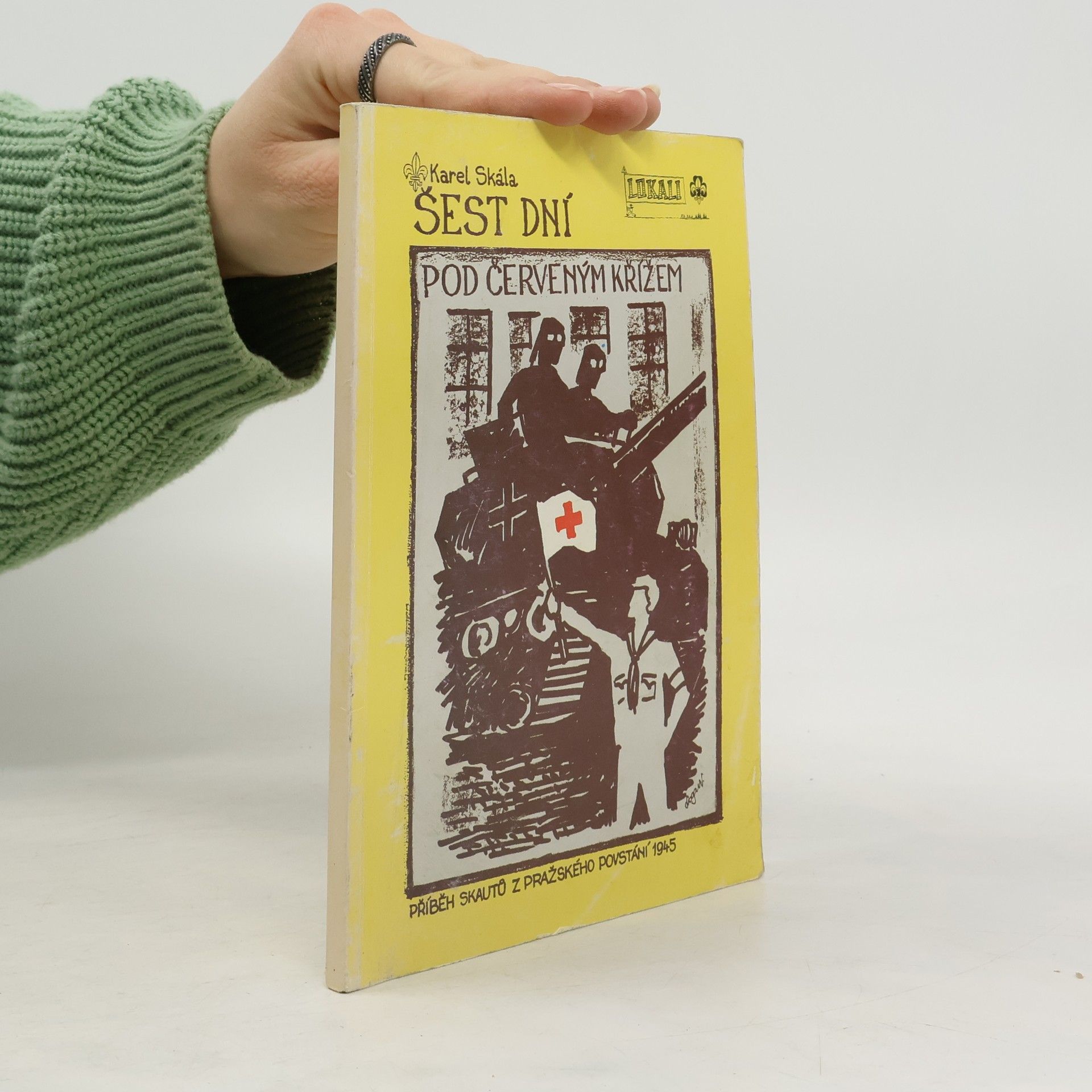 Šest dní pod červeným křížem