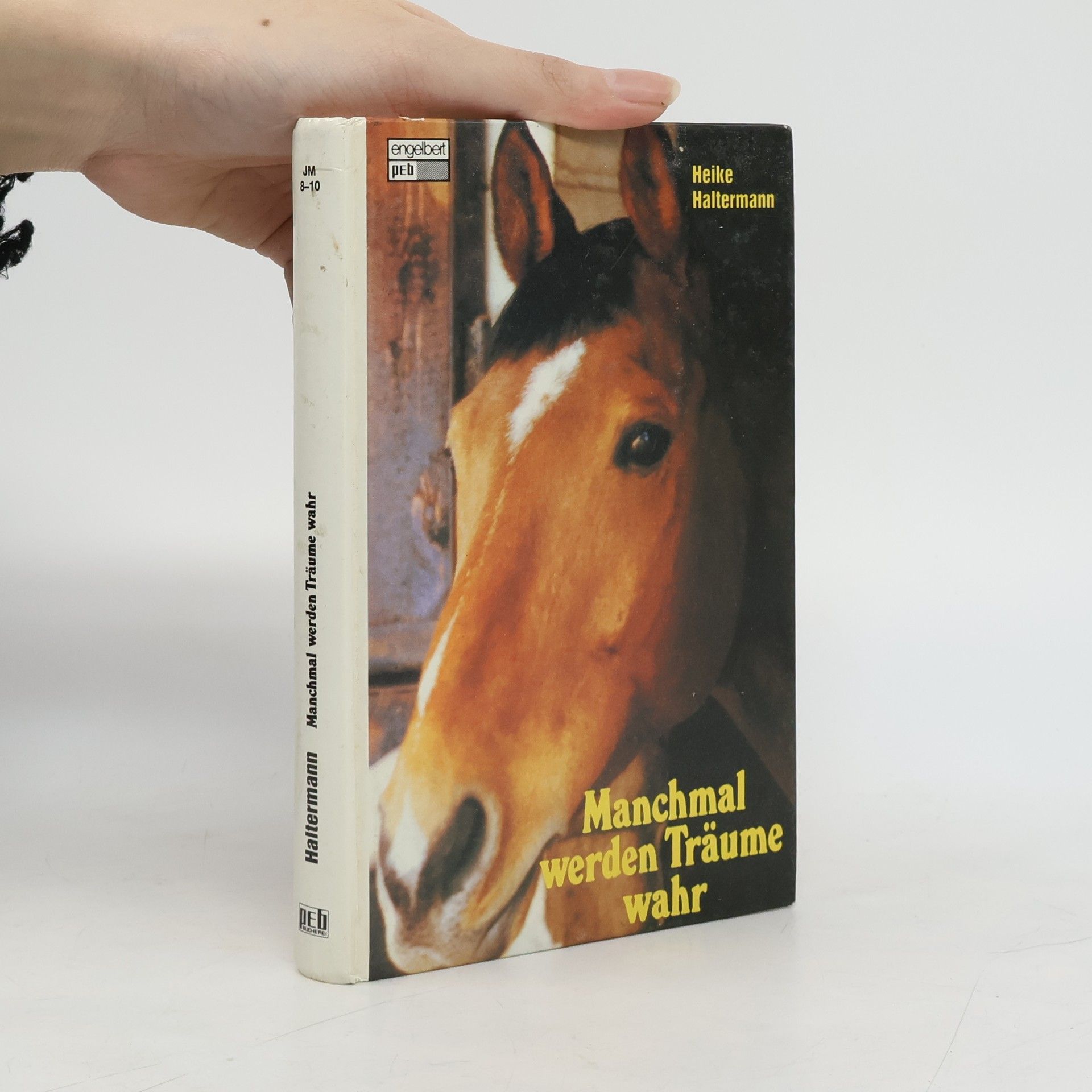 Heike Haltermann Manchmal werden Träume wahr