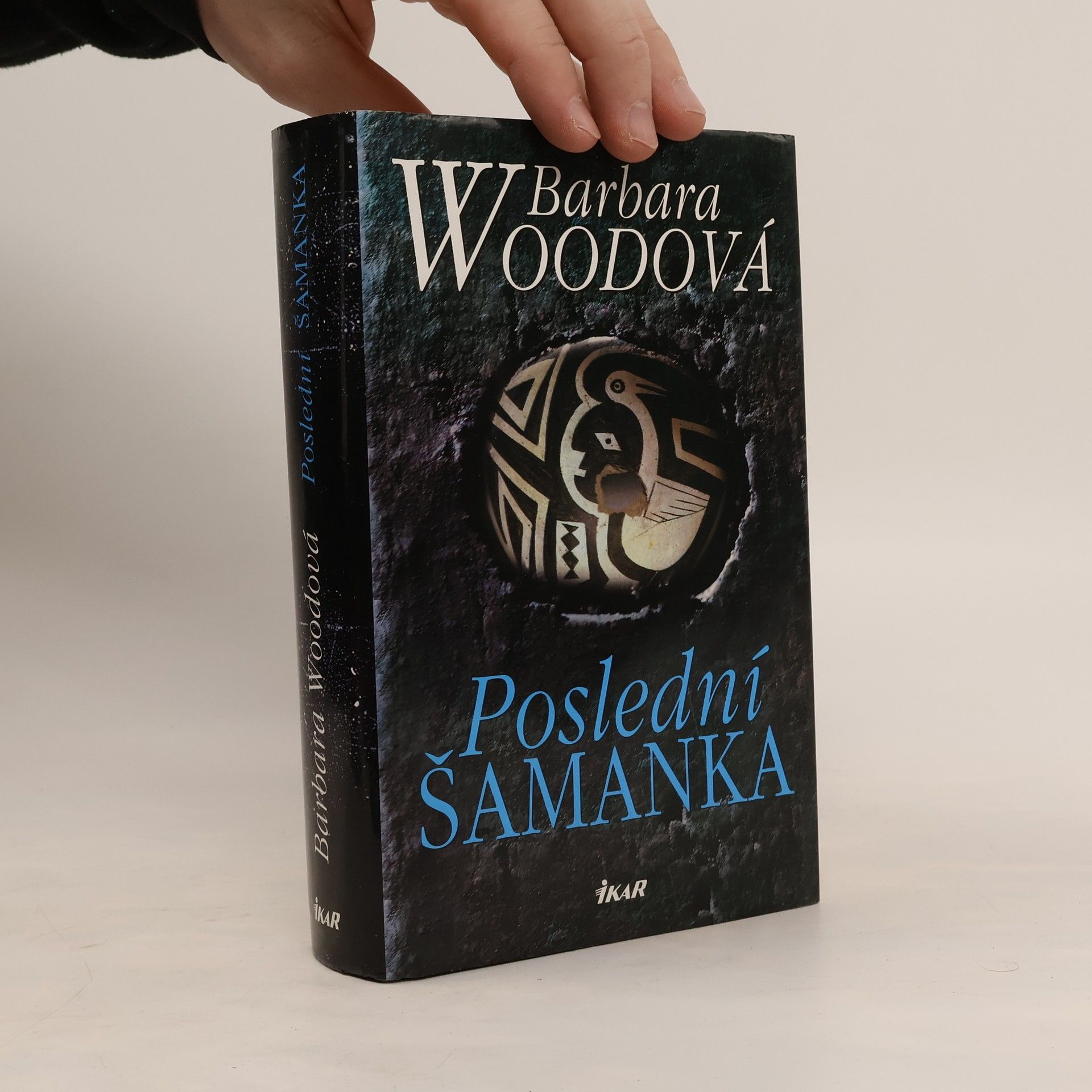 Barbara Wood Poslední šamanka