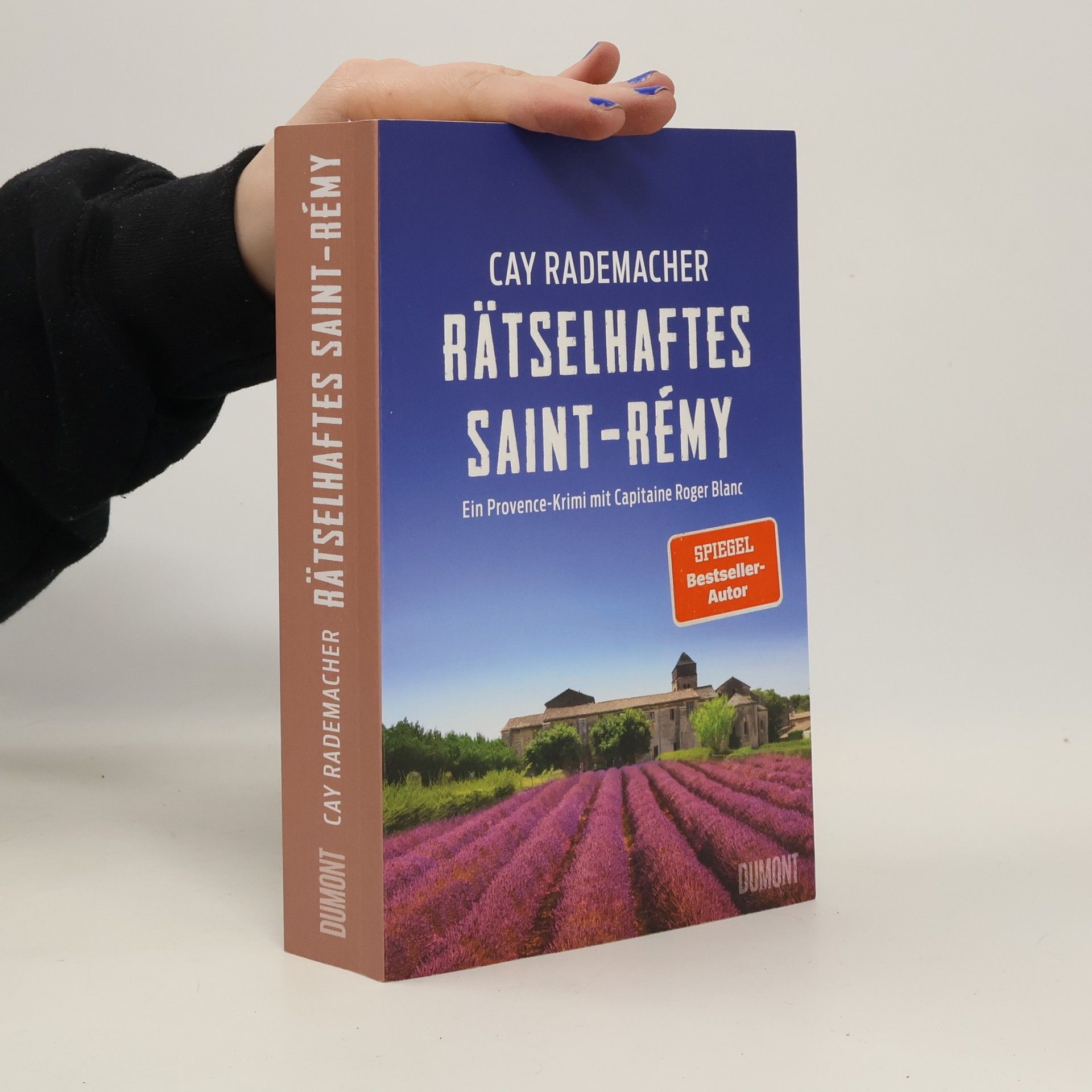 Rätselhaftes Saint-Rémy