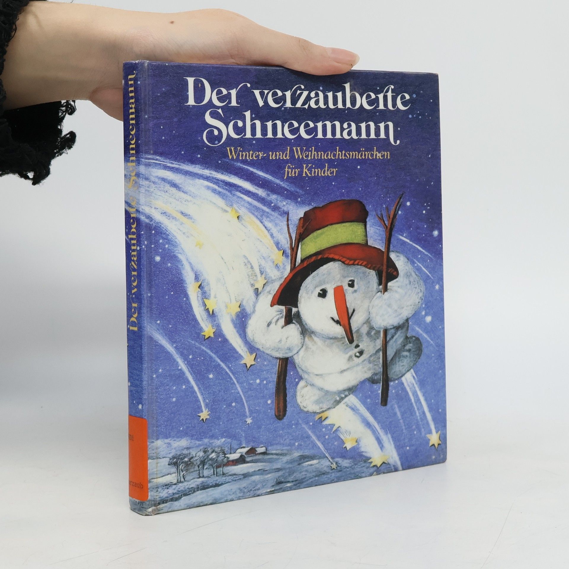 Der verzauberte Schneemann