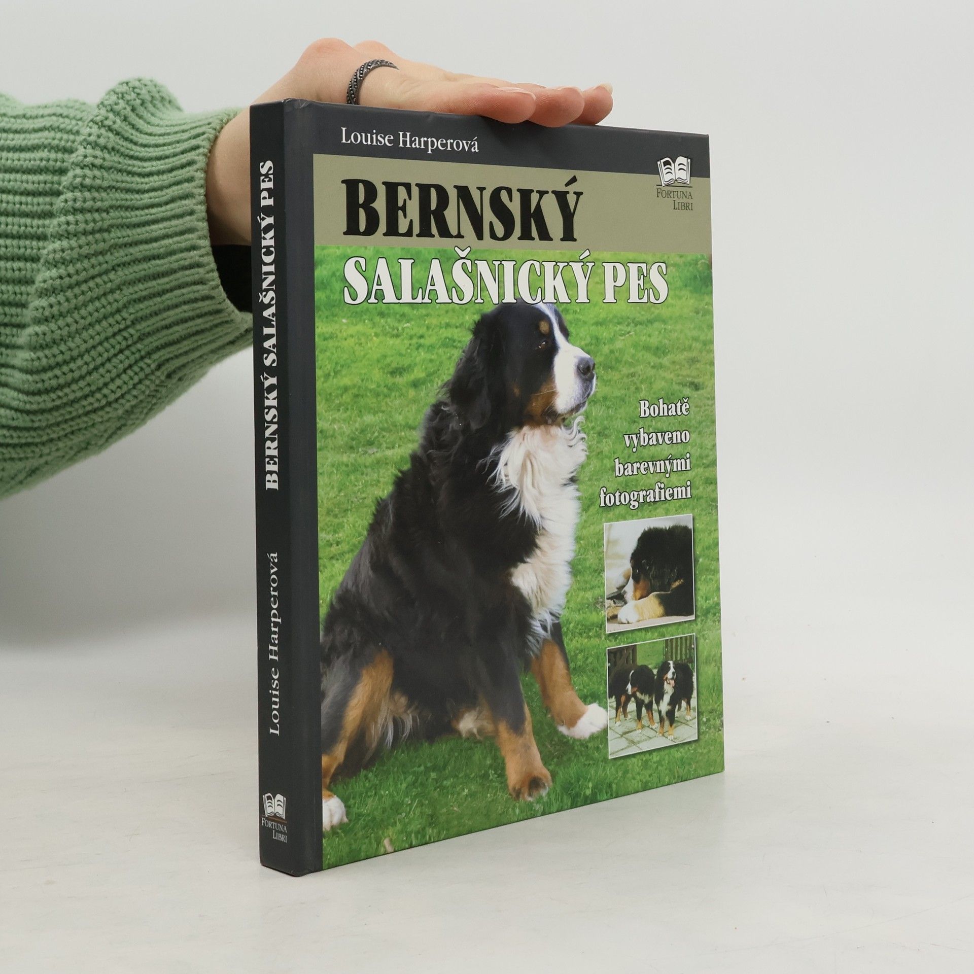 Louise Harper Bernský salašnický pes