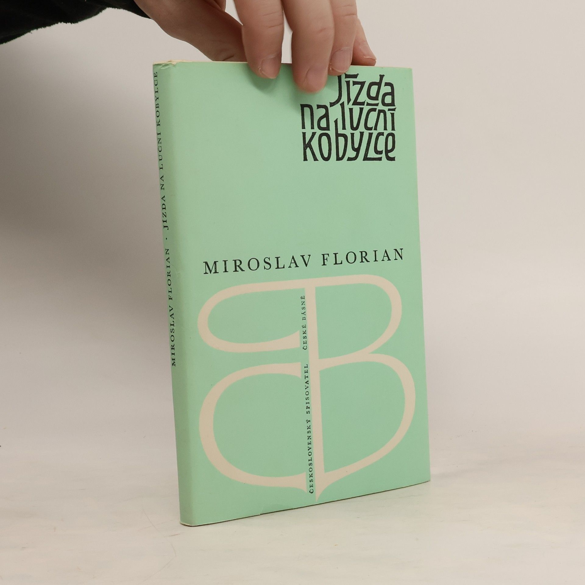 Miroslav Florian Jízda na luční kobylce