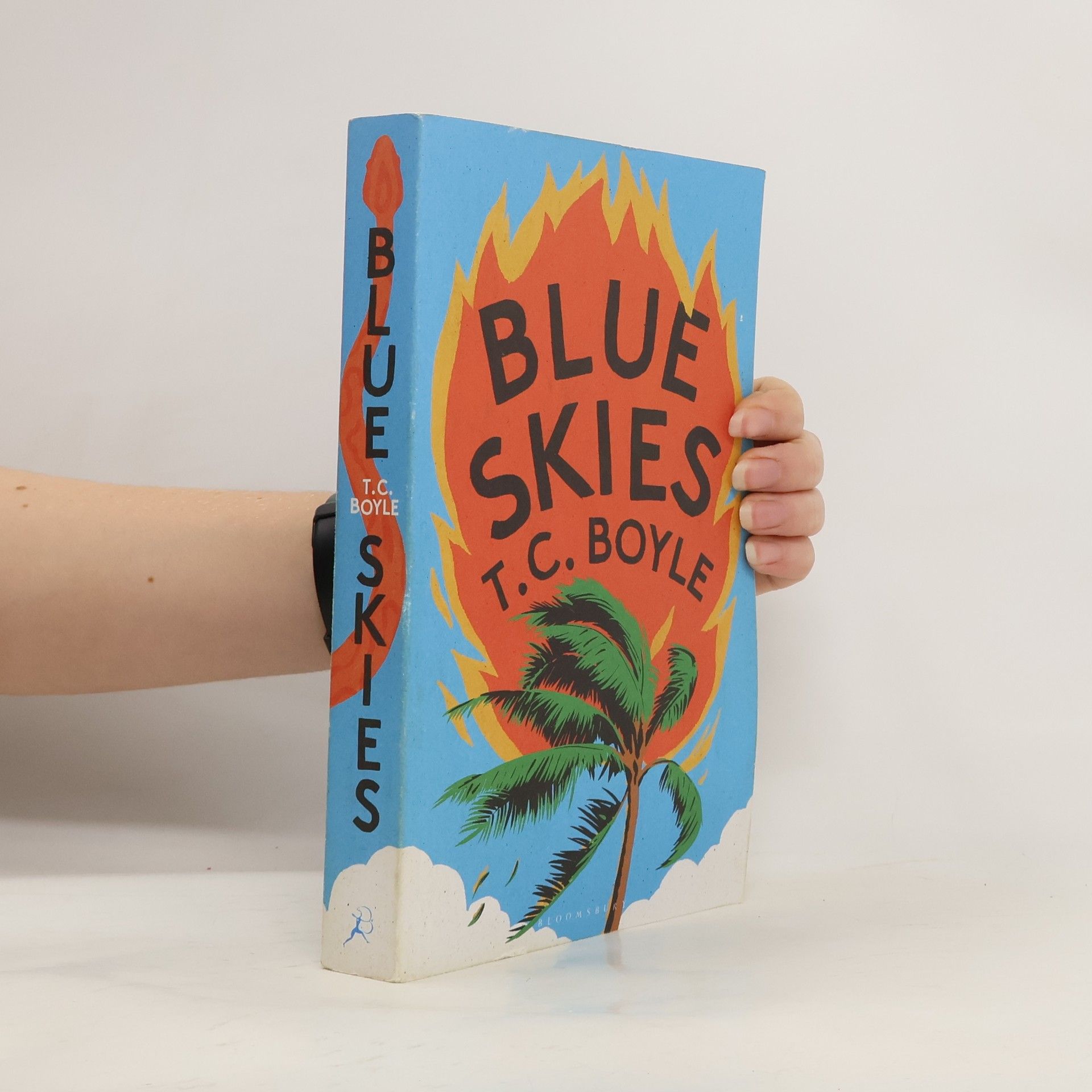 T. Coraghessan Boyle Blue Skies