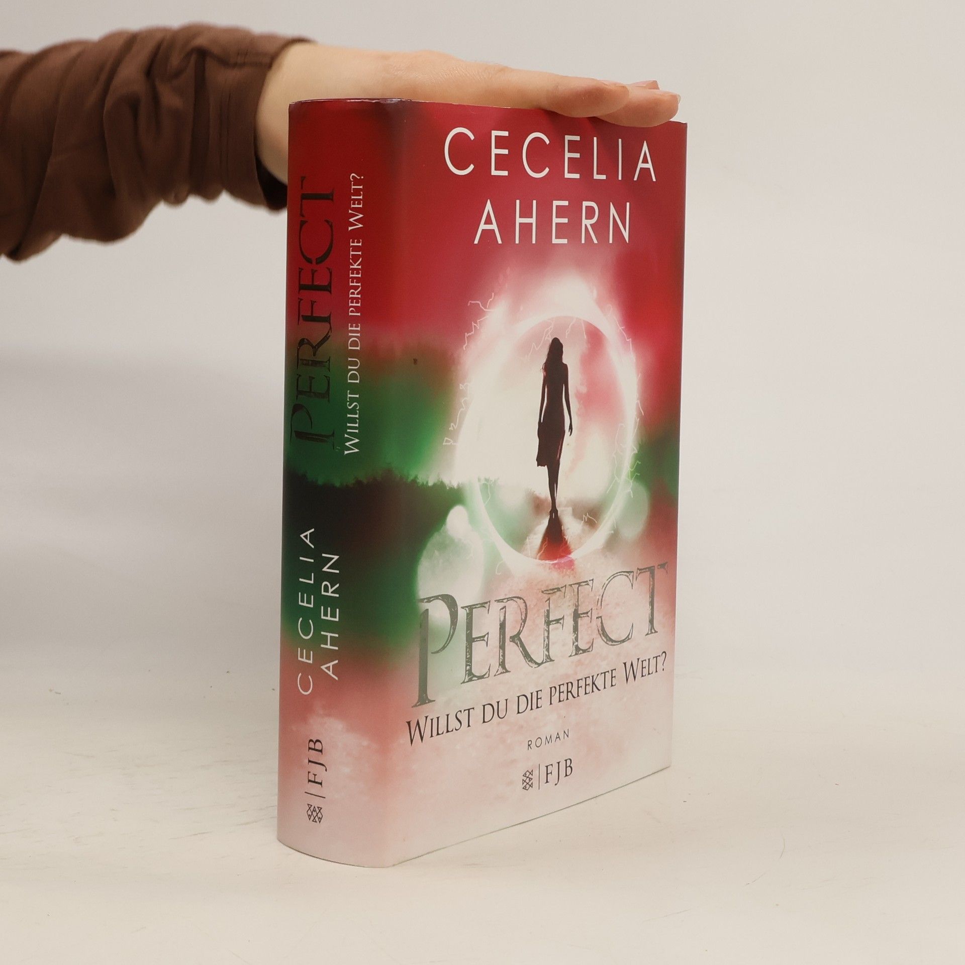 Cecelia Ahern Perfect - willst du die perfekte Welt?