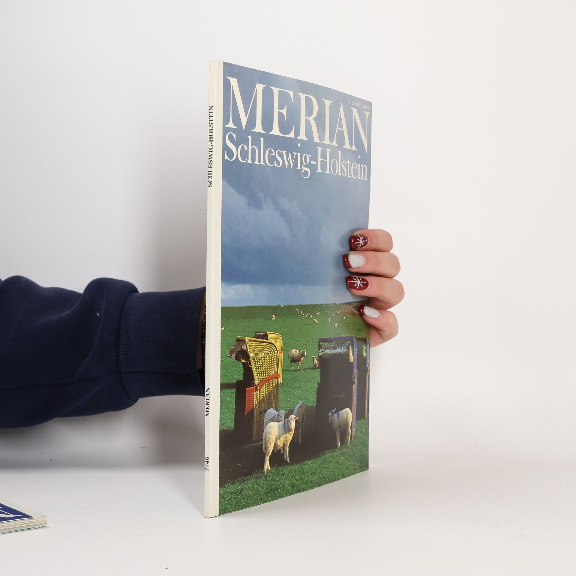 Oliver Lehmann Schleswig-Holstein