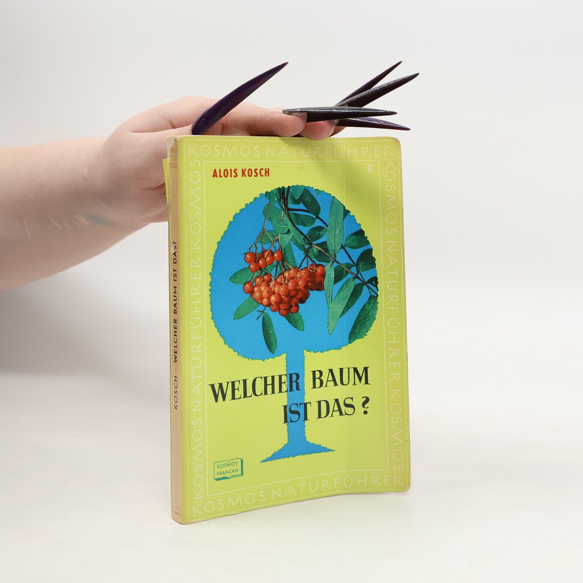 Welcher baum ist das?