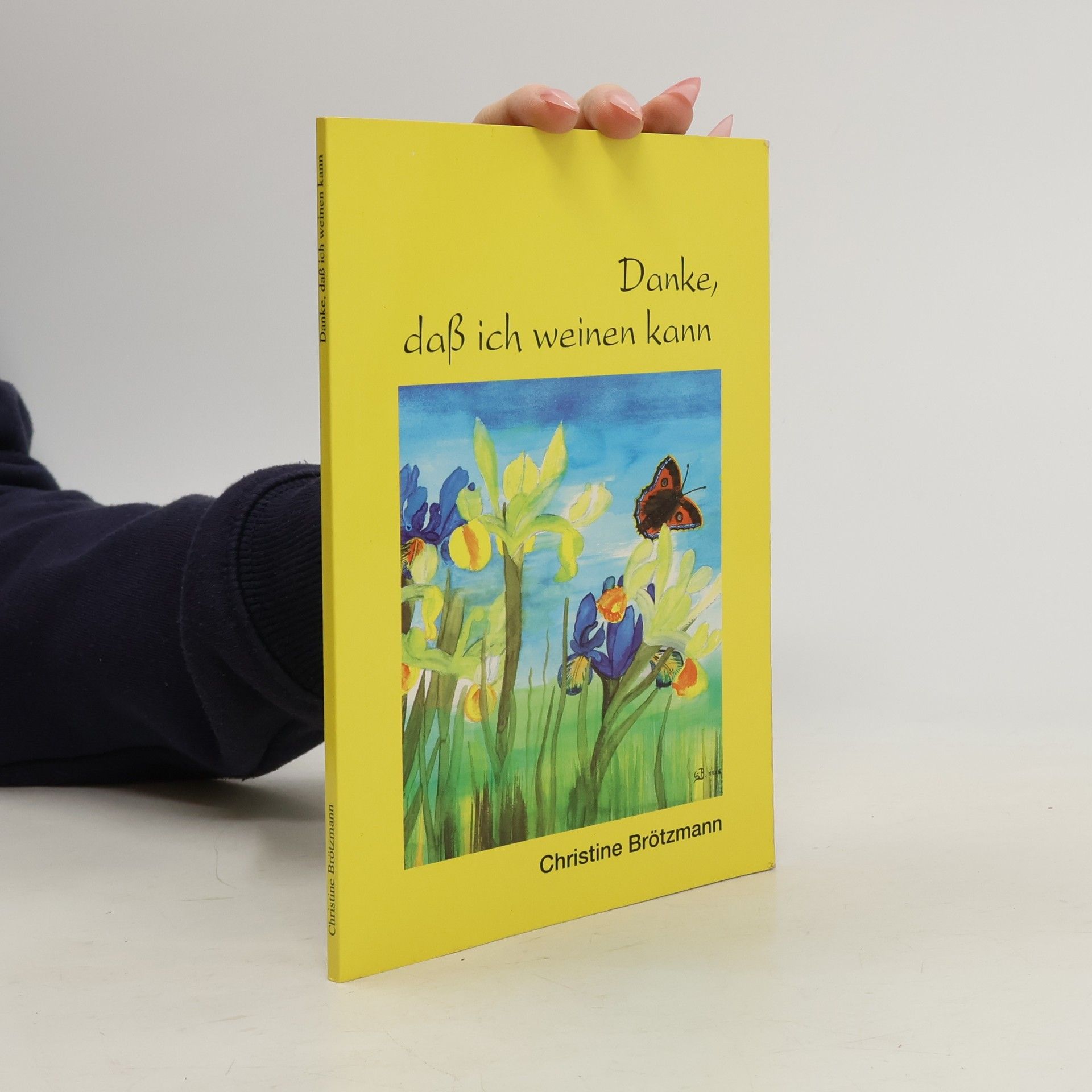 Christine Brötzmann Danke, dass ich weinen kann