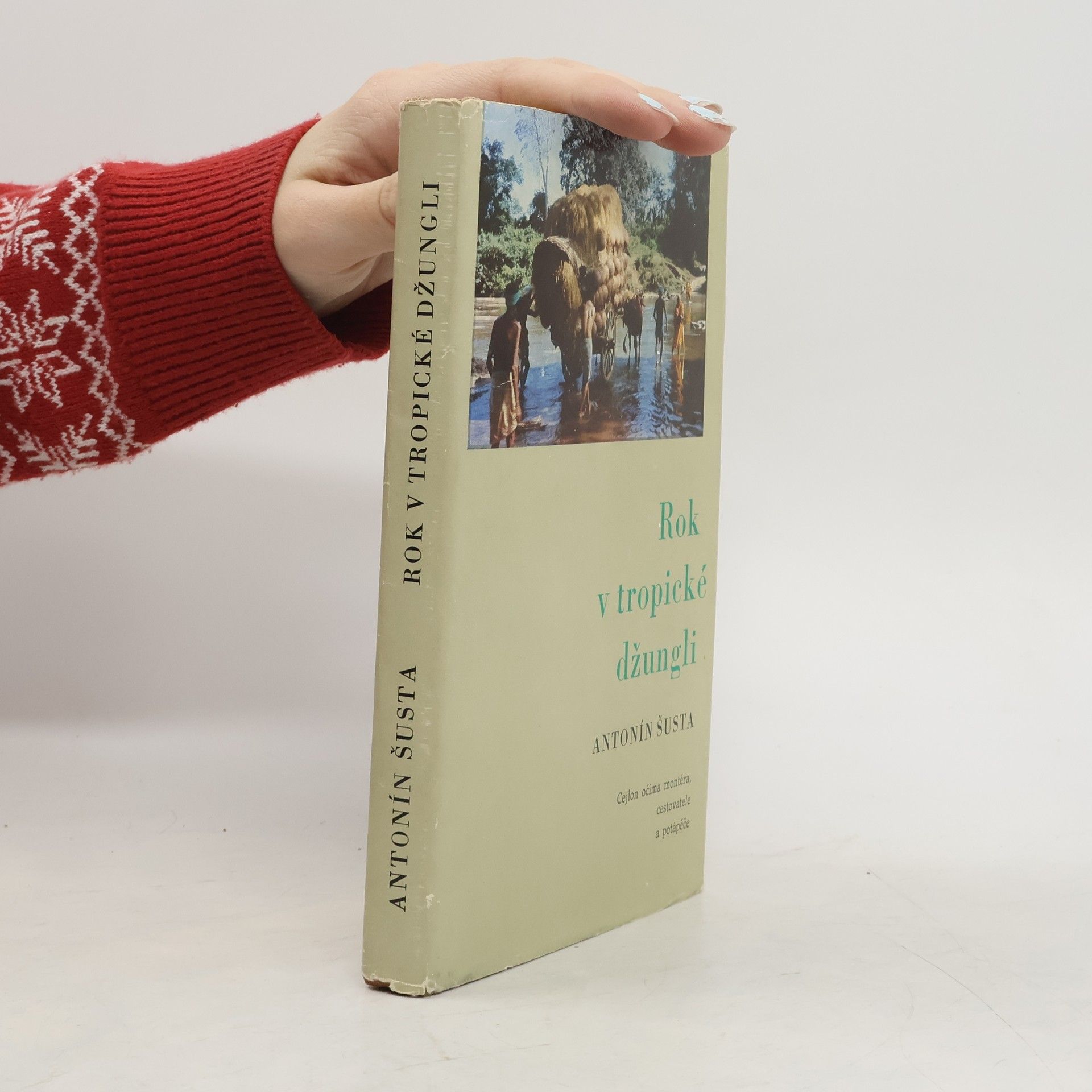 Rok v tropické džungli