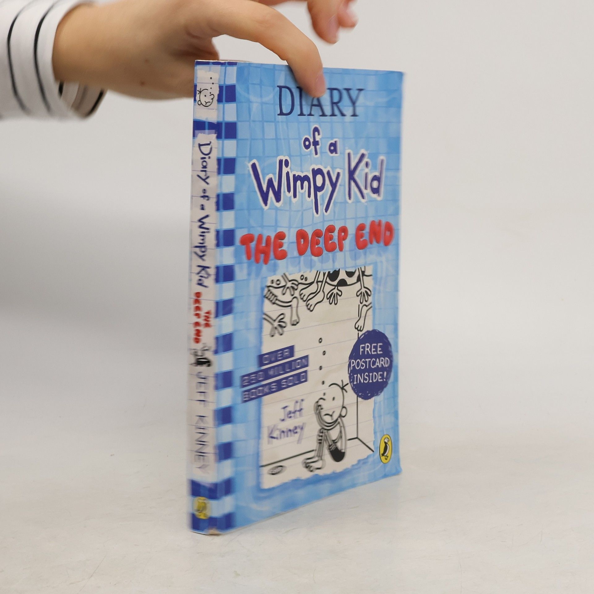 Diary of a Wimpy Kid 15. The Deep End