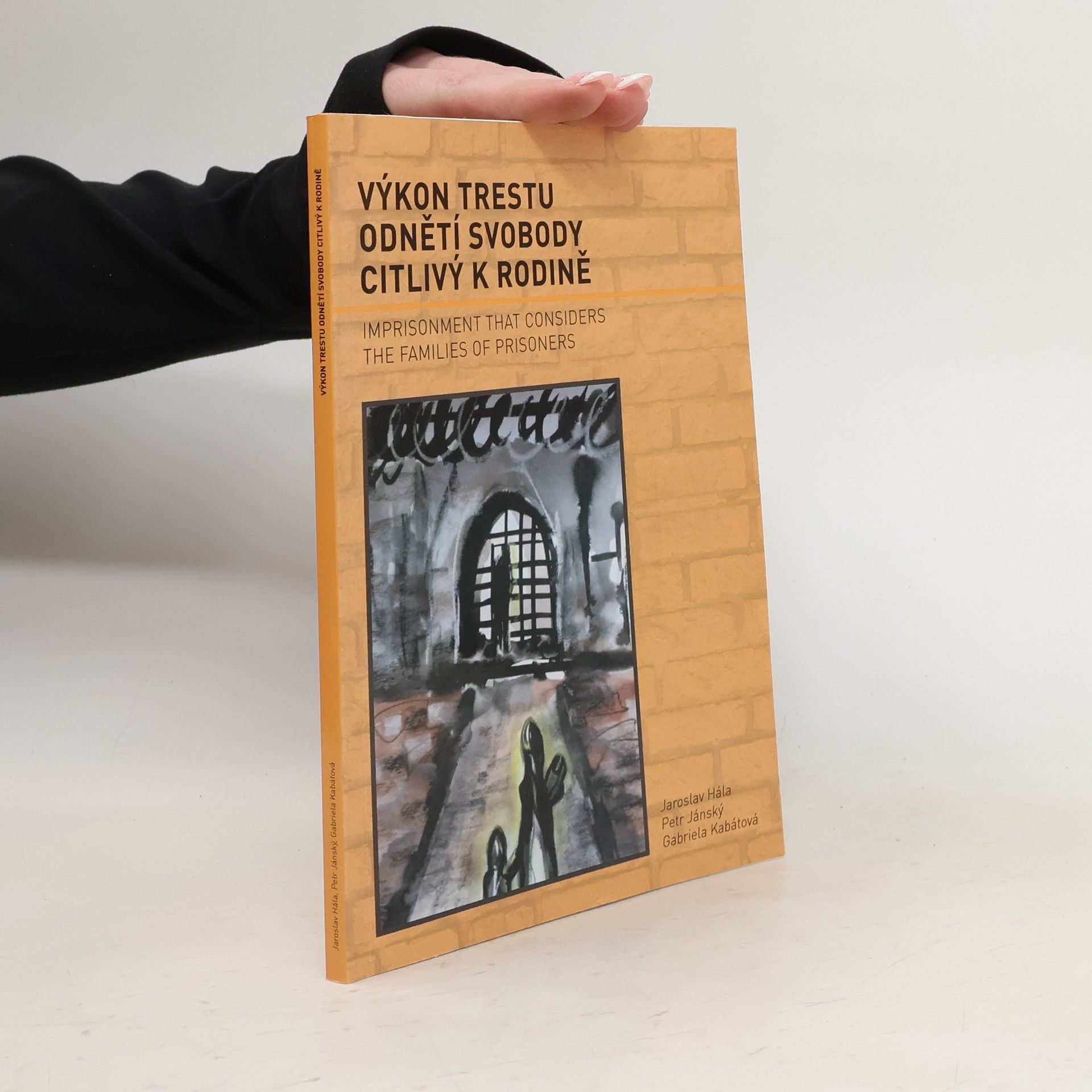 Jaroslav Hála Výkon trestu odnětí svobody citlivý k rodině. Imprisonment that considers the families of prisoners