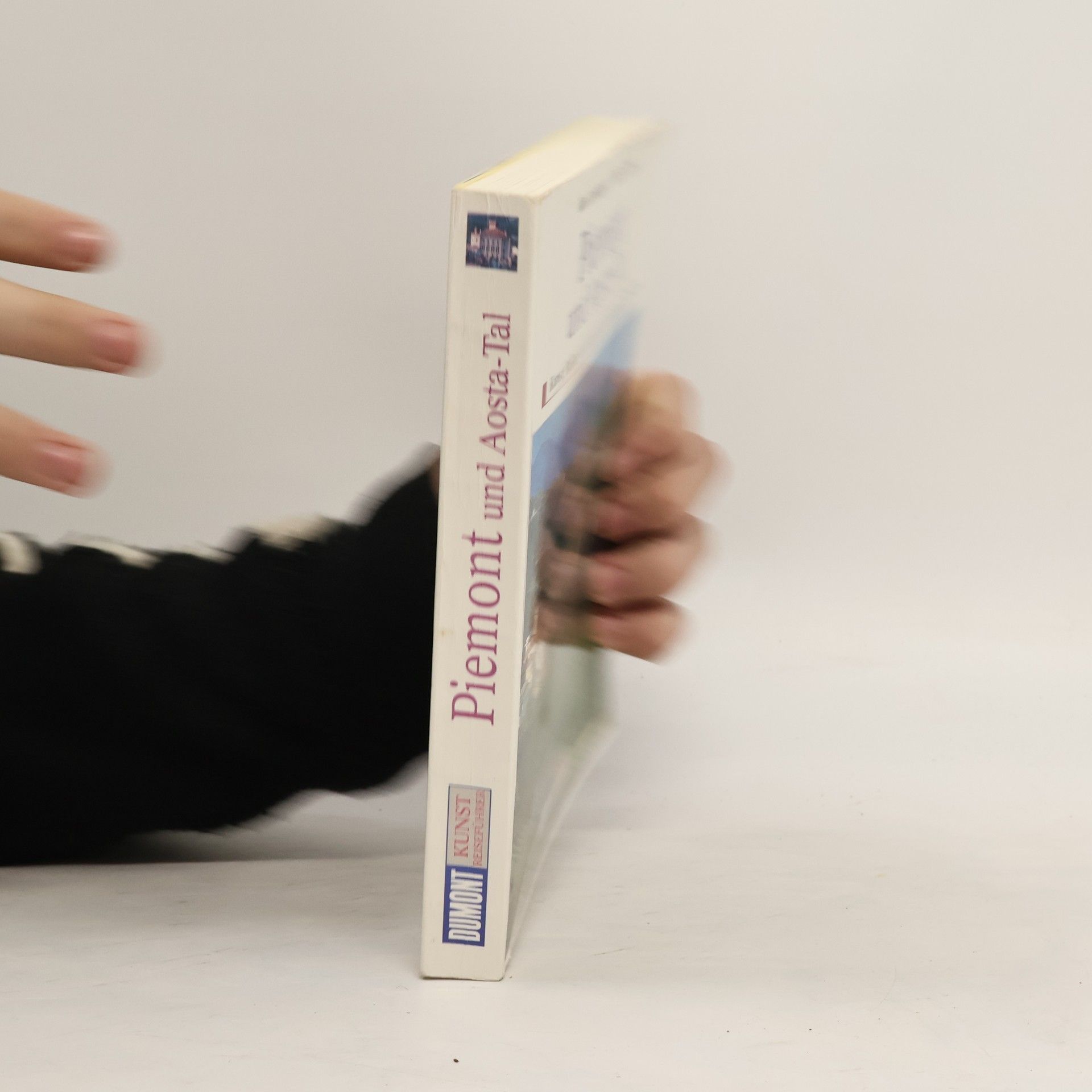 Walter Pippke Piemont und Aosta-Tal