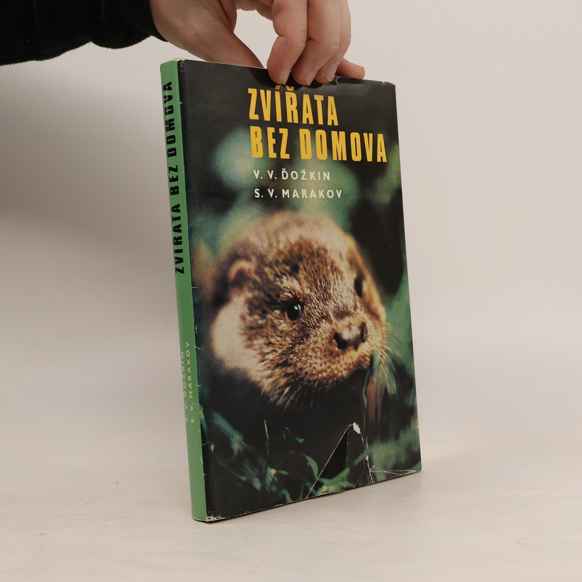 Vadim Vasiljevič Dežkin Zvířata bez domova