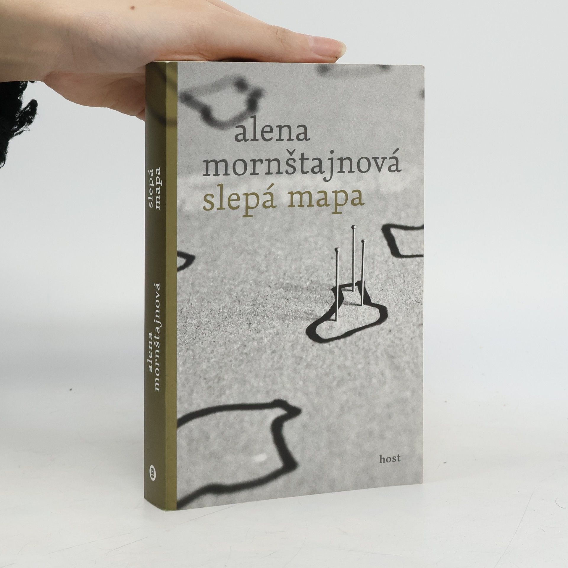 Alena Mornštajnová Slepá mapa