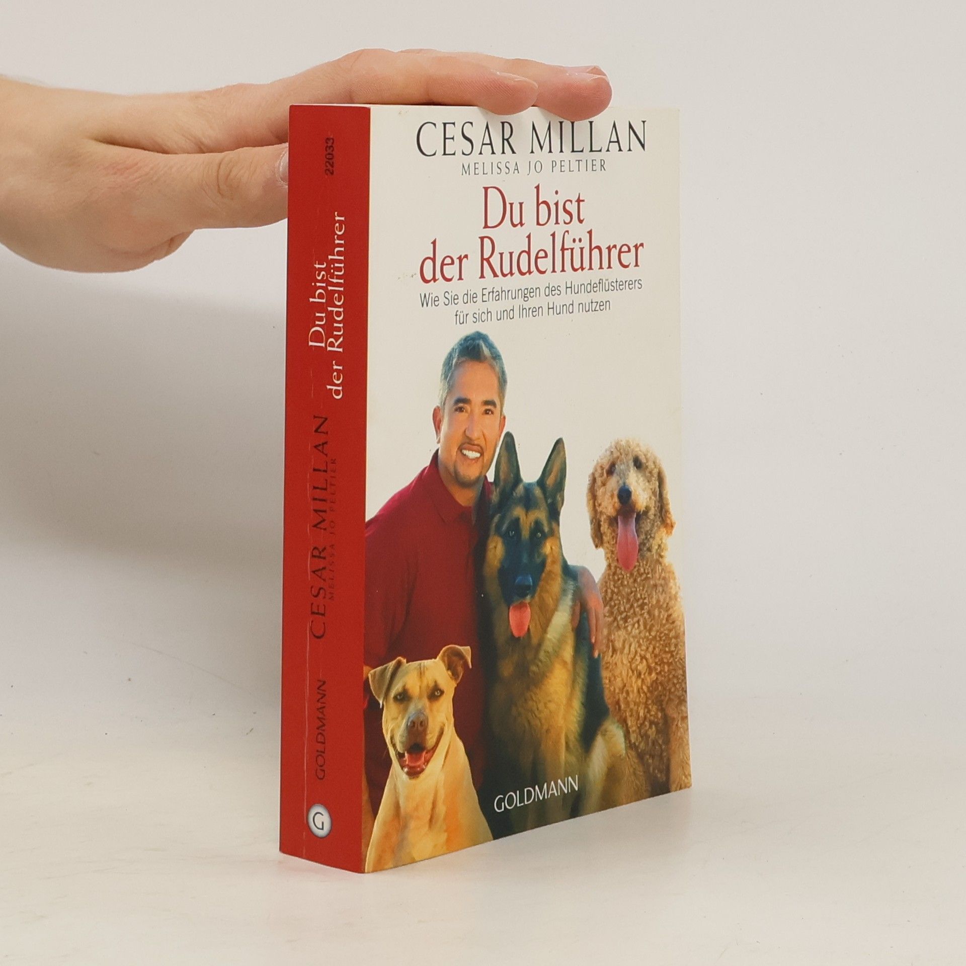 Cesar Millan Du bist der Rudelführer