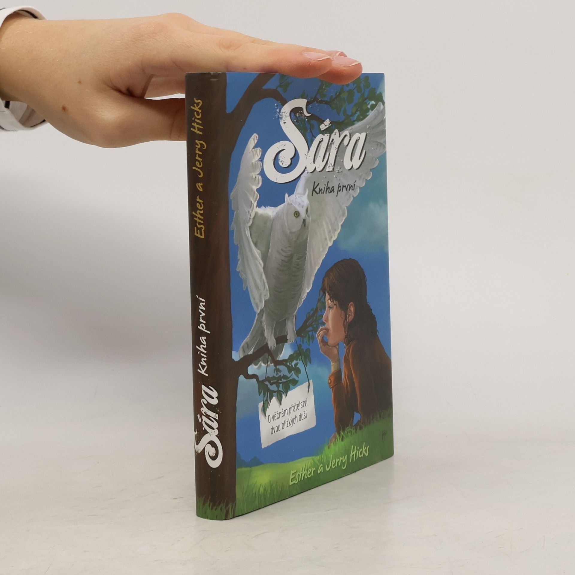 Esther Hicks Sára. Kniha první, O věčném přátelství dvou blízkých duší