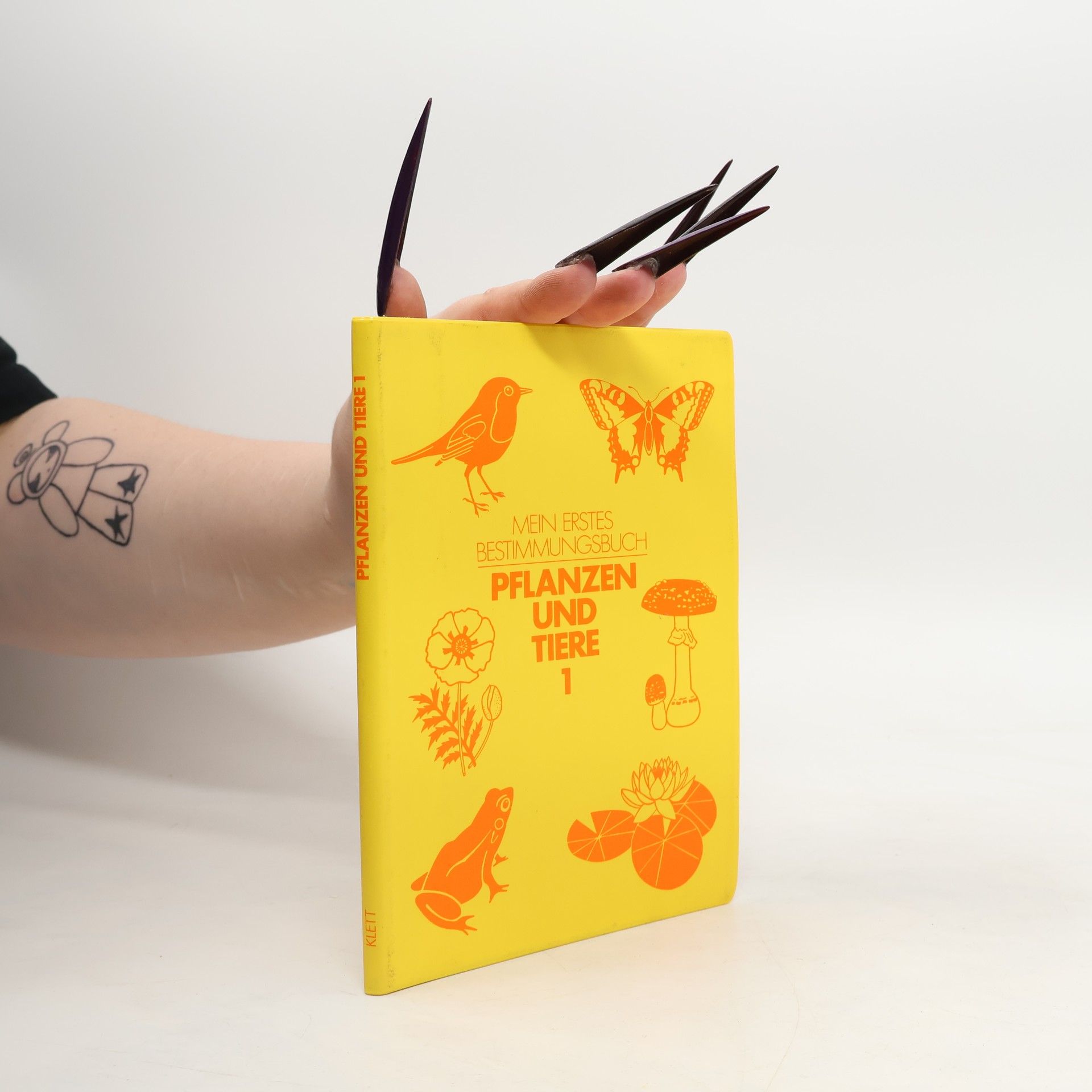 Gertrude Maurer Pflanzen und Tiere 1