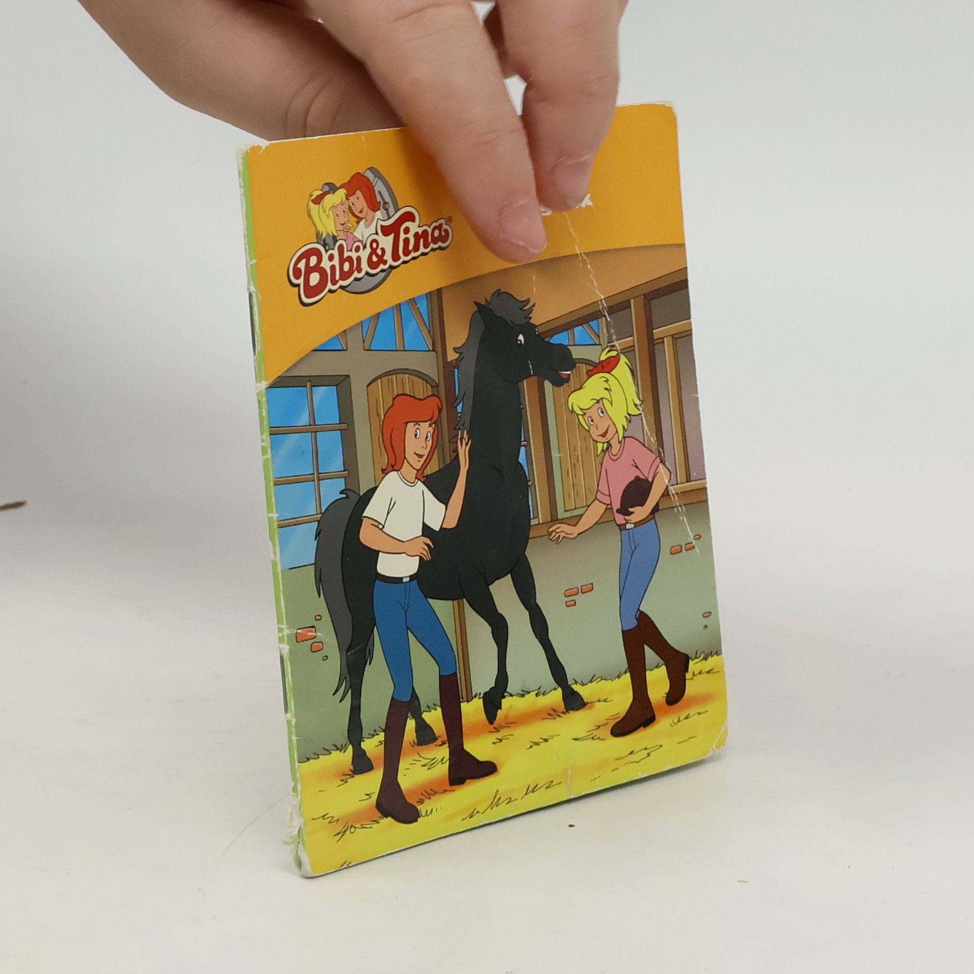 Various authors Bibi & Tina. Das große Pferdeglück